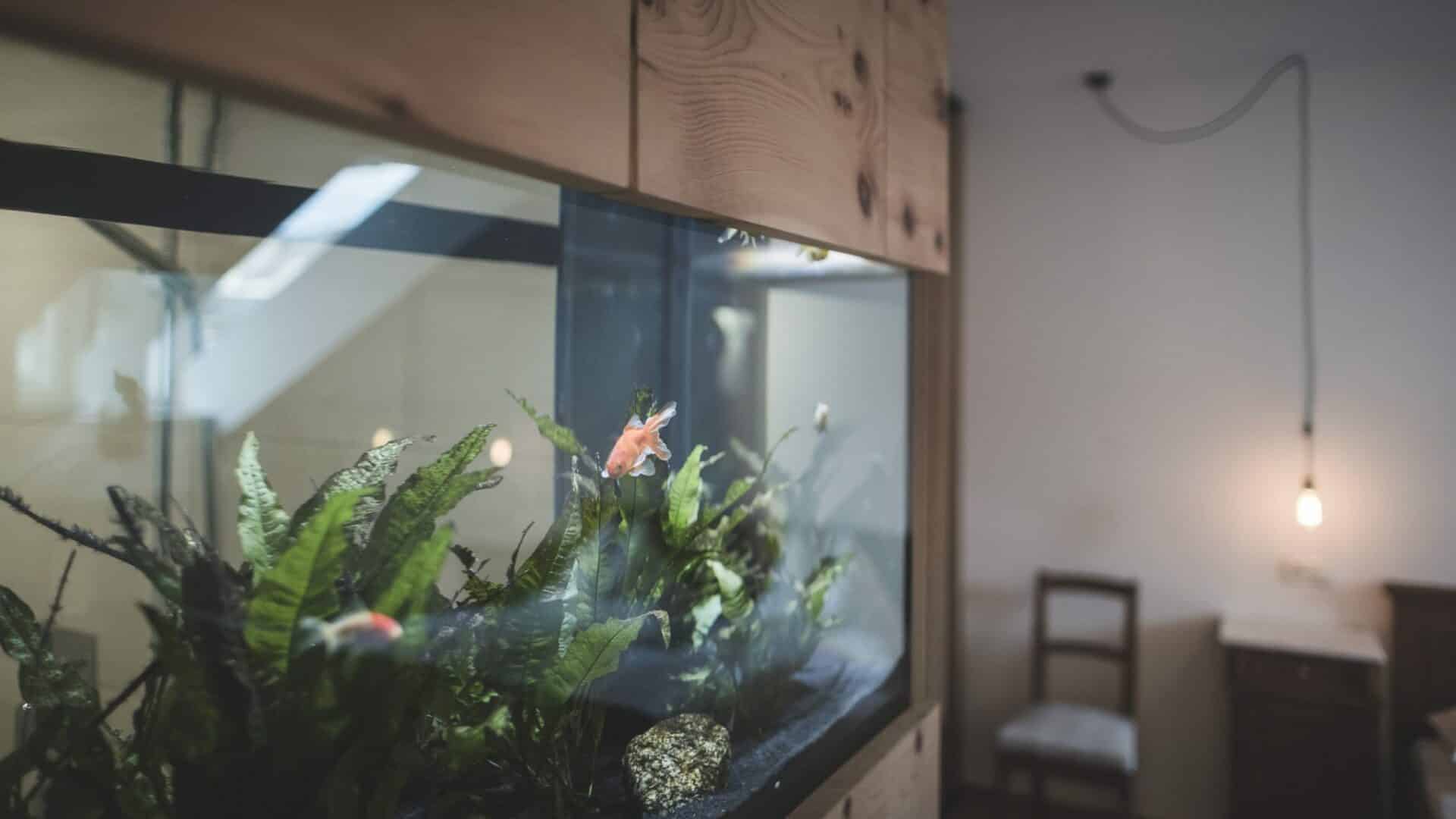 Niedermairhof, B&B, Design, Architektur, Bruneck, Südtirol, Italien