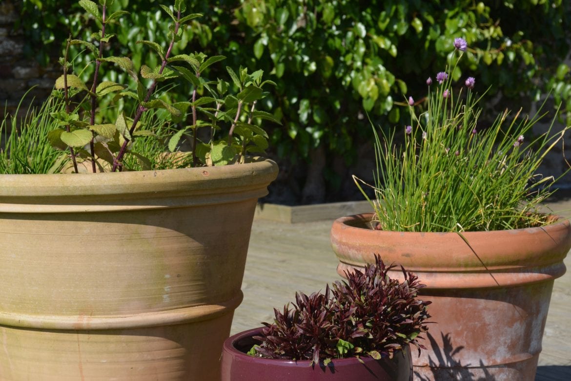 Les Rochers - außergewöhnliches B&B, Normandie, Frankreich