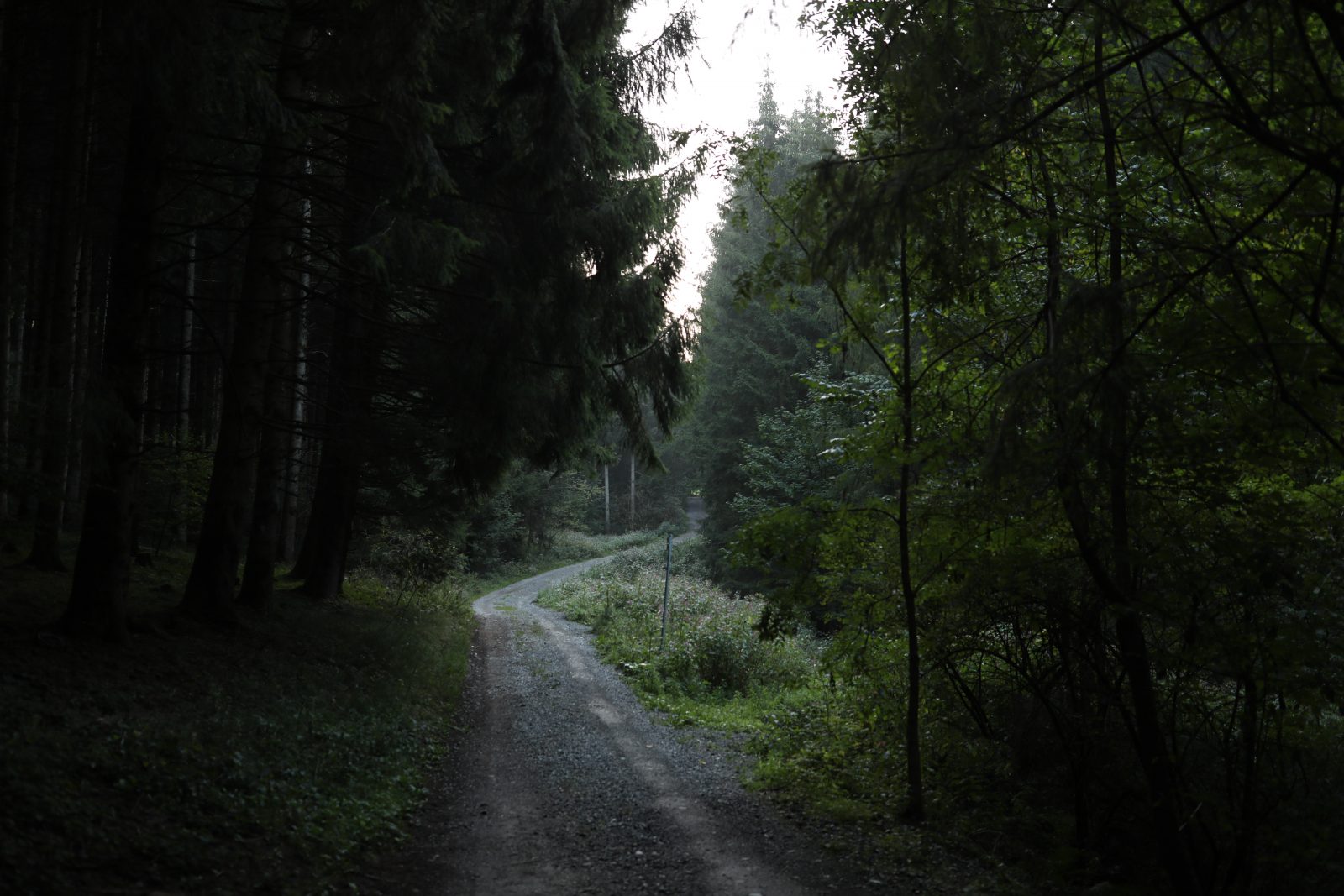 Ansitz Hohenegg, Ferienhaus, Ferienwohnung, Allgäu, Bayern, besondere Unterkunft