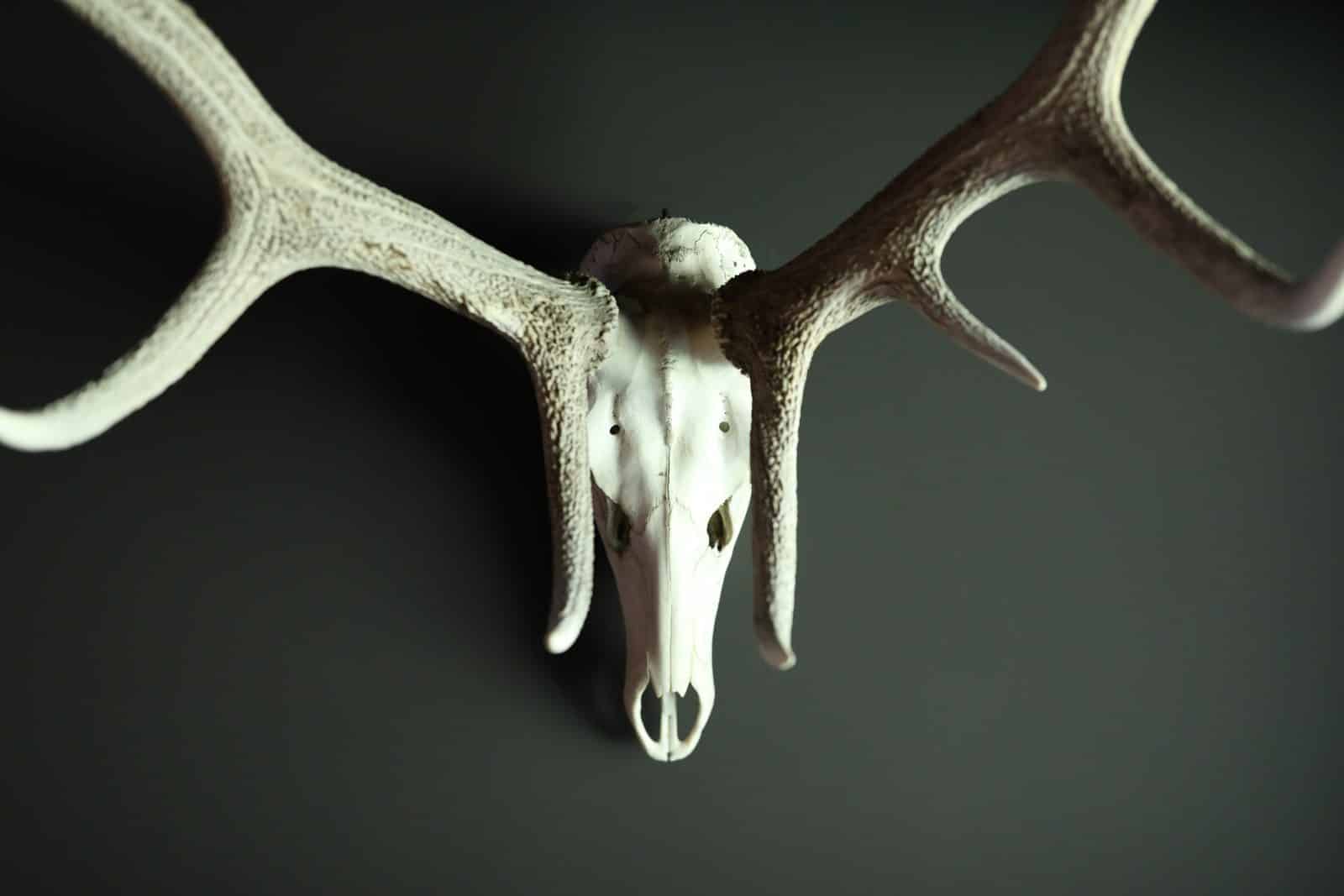 Ansitz Hohenegg, Ferienhaus, Design, Architektur, Bayern, Allgäu, Wintersport