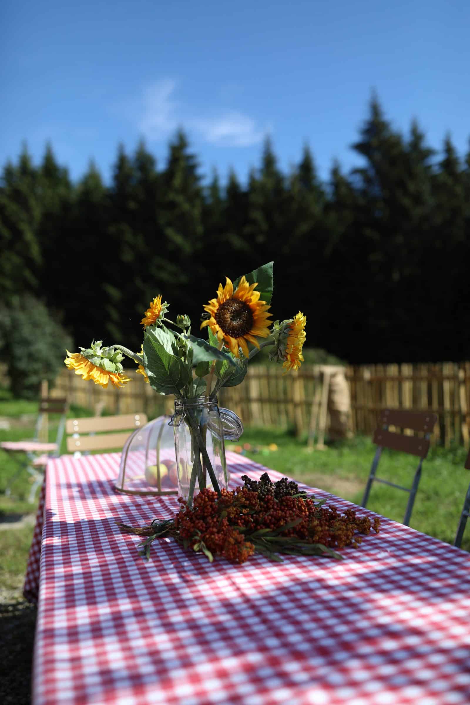 Ansitz Hohenegg, Ferienhaus, Ferienwohnung, Allgäu, Bayern, Design, Architektur