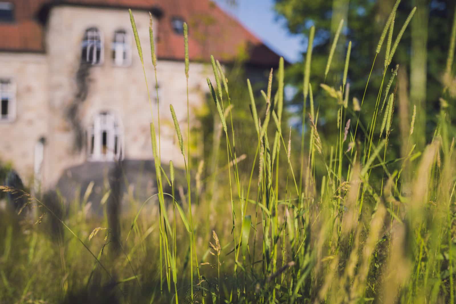 Villa Breitenberg, Hotel, Ferienwohnungen, Bayrischer Wald, Deutschland
