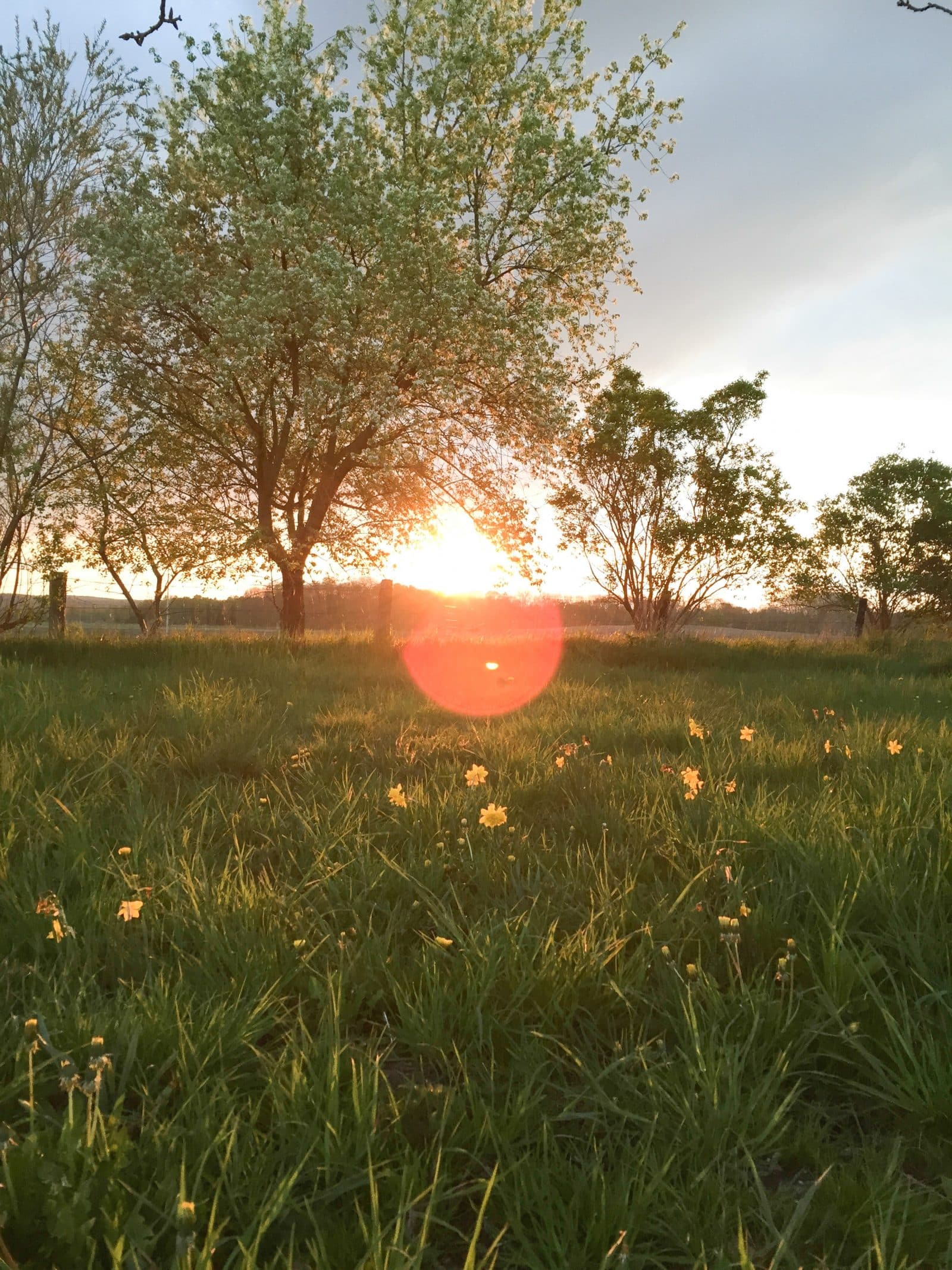Sternhagener Haus, Ferienhaus, Uckermark, Brandenburg, Design, Architektur, besondere Unterkunft
