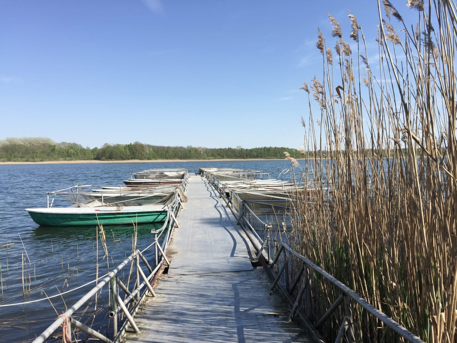 Sternhagener Haus, Ferienhaus, Uckermark, Brandenburg, Design, Architektur, besondere Unterkunft