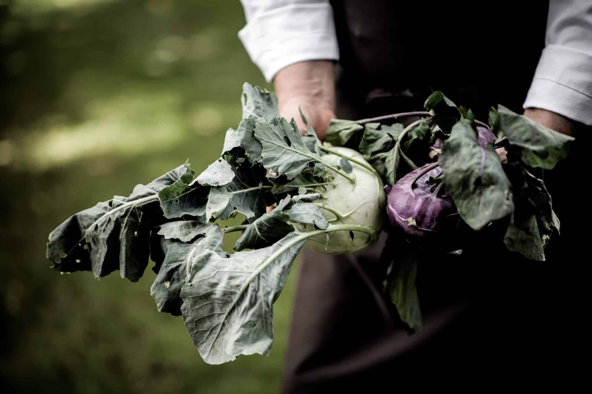 Korb mit frischem Gemüse im Hotel Schwarzschmied
