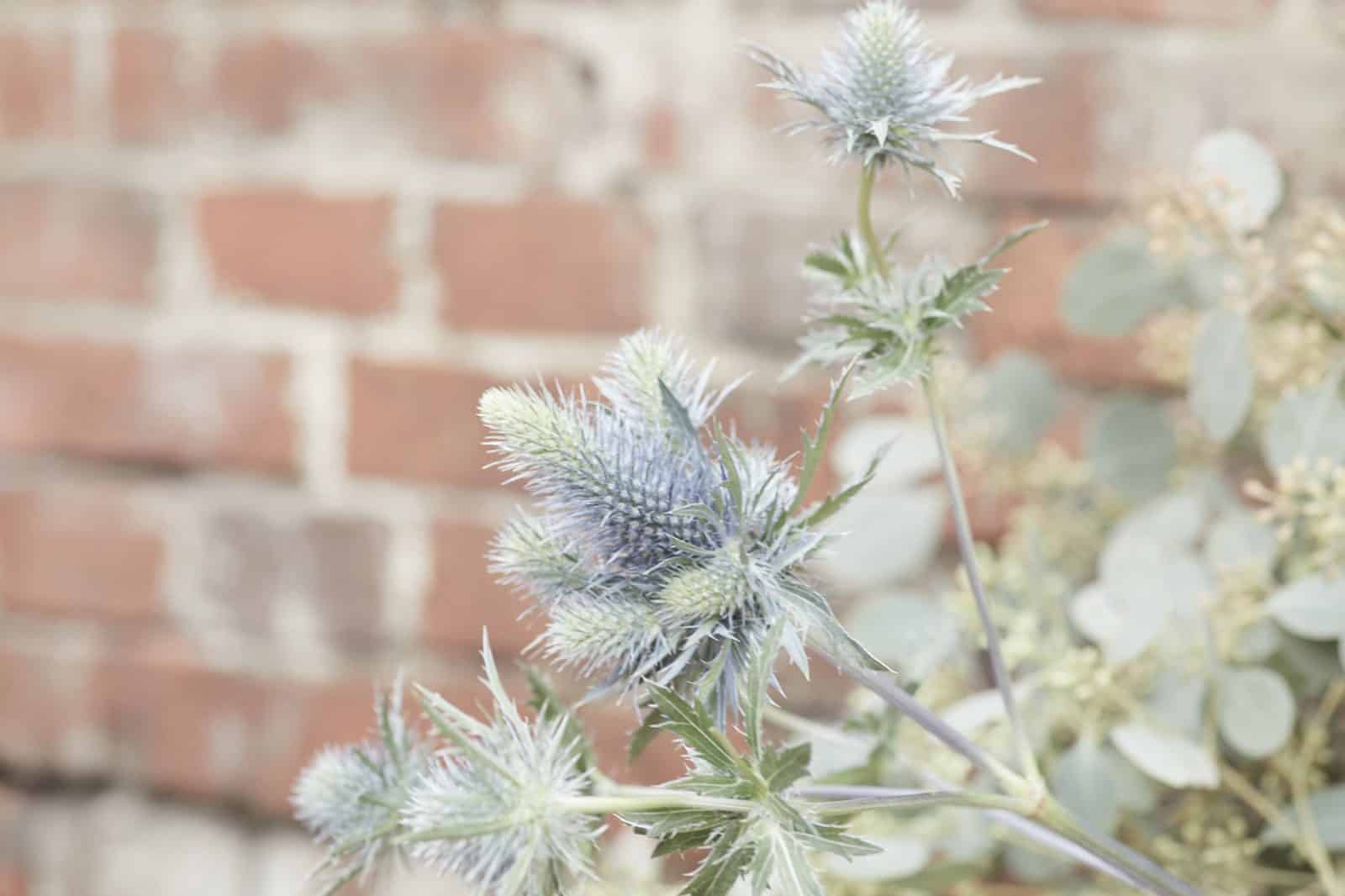 Milch und Limonade Ferienhaus, Meer, Schleswig-Holstein, Nordsee, St.Peter-Ording, Garding, Design, Architektur