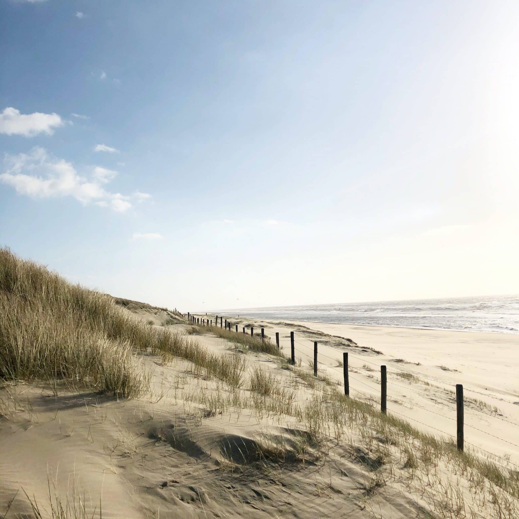 Norwich House behind the Dunes, Nordsee, Holland, Niederlande, Meer, Architektur, Design-Ferienhaus, Noordwijk