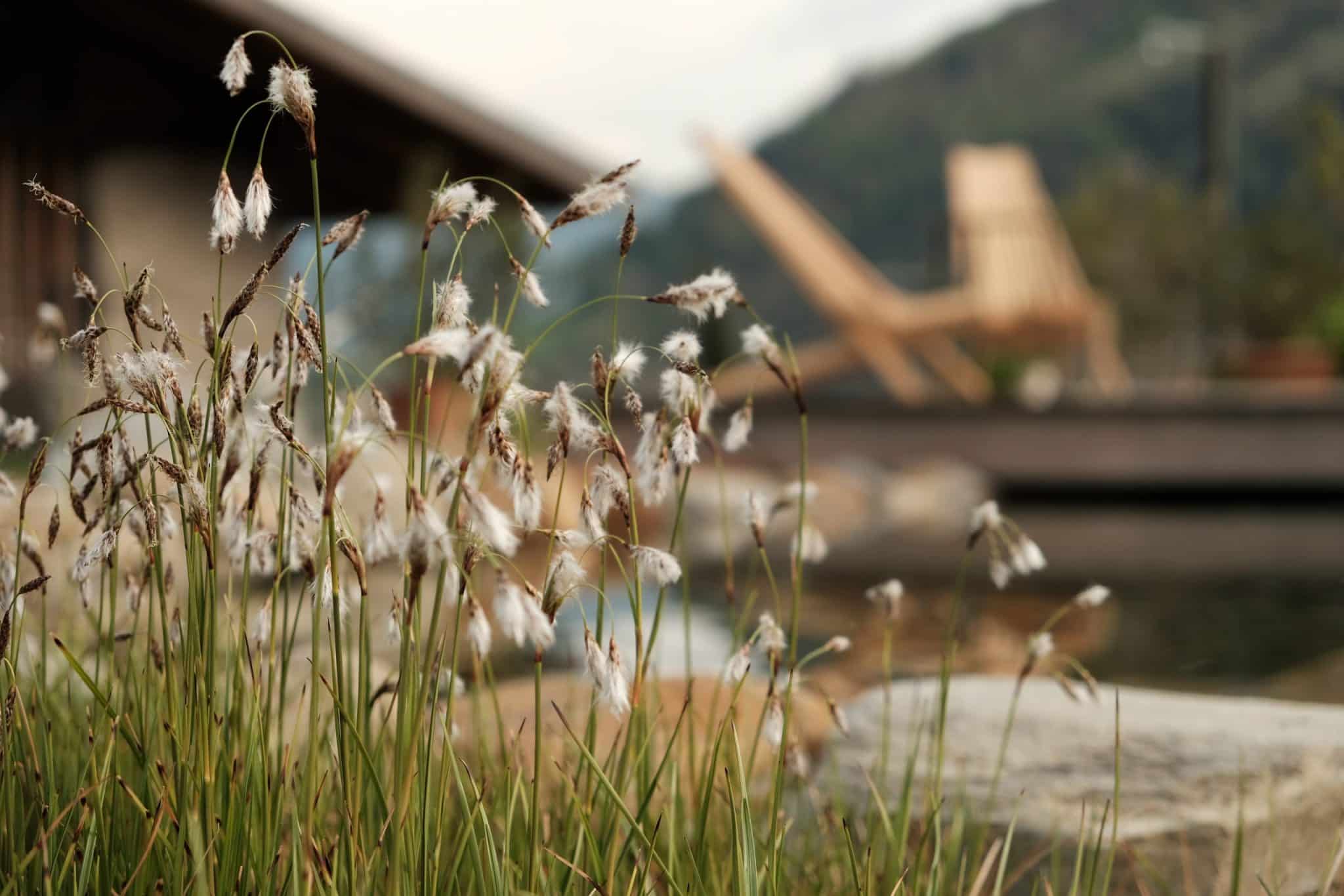 Sticklerhof, Design, Ferienwohnungen, modern, Südtirol, Meran, Berge, Italien, moderne Architektur