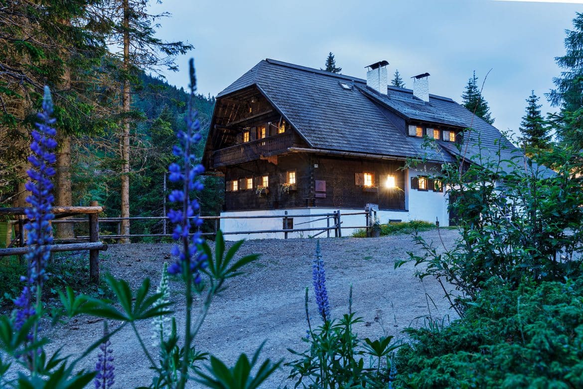 Lachtal Lodge, Ferienhaus, Natur, Architektur, große Gruppe, Großfamilie, Österreich