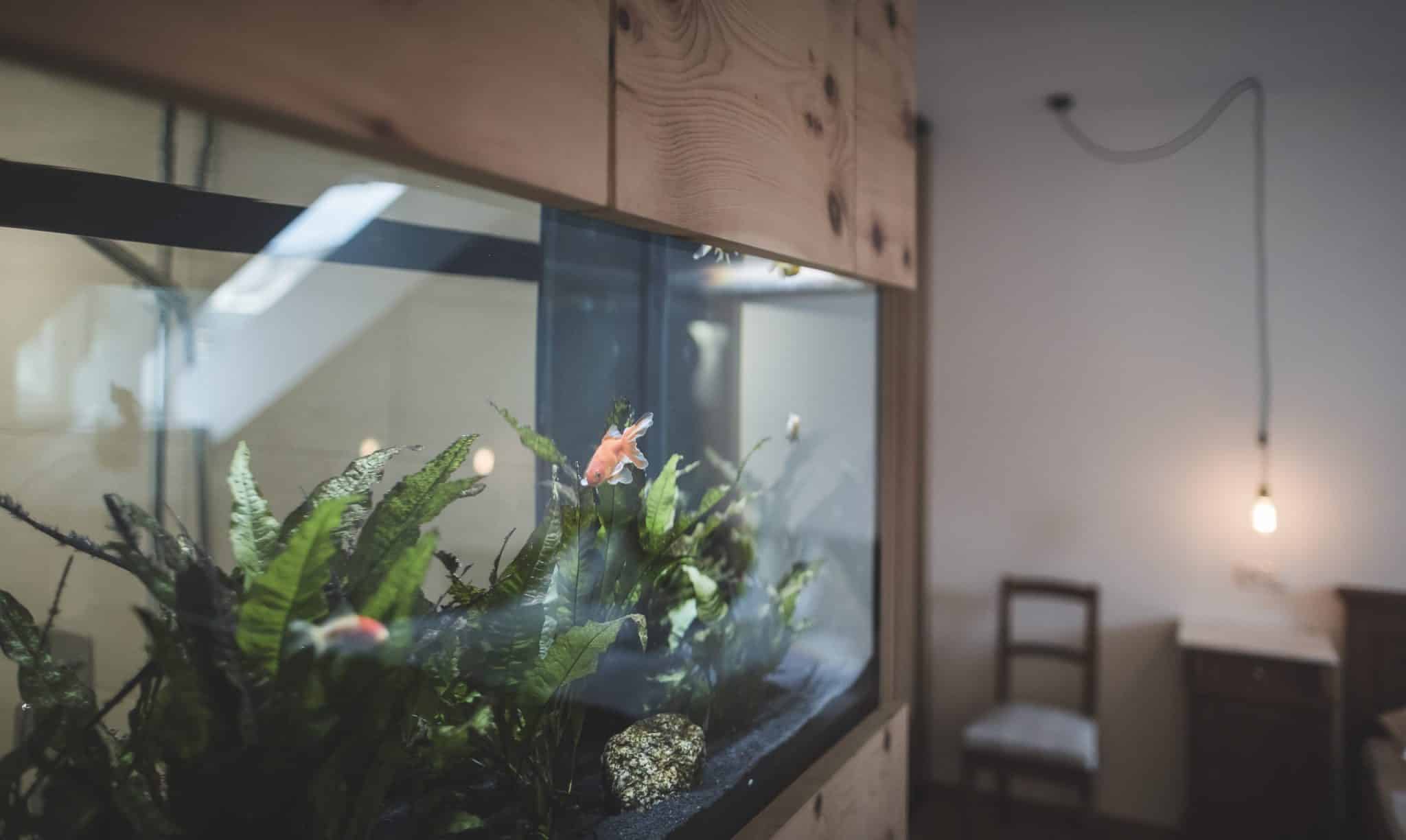 Niedermairhof, B&B, Design, Architektur, Bruneck, Südtirol, Italien