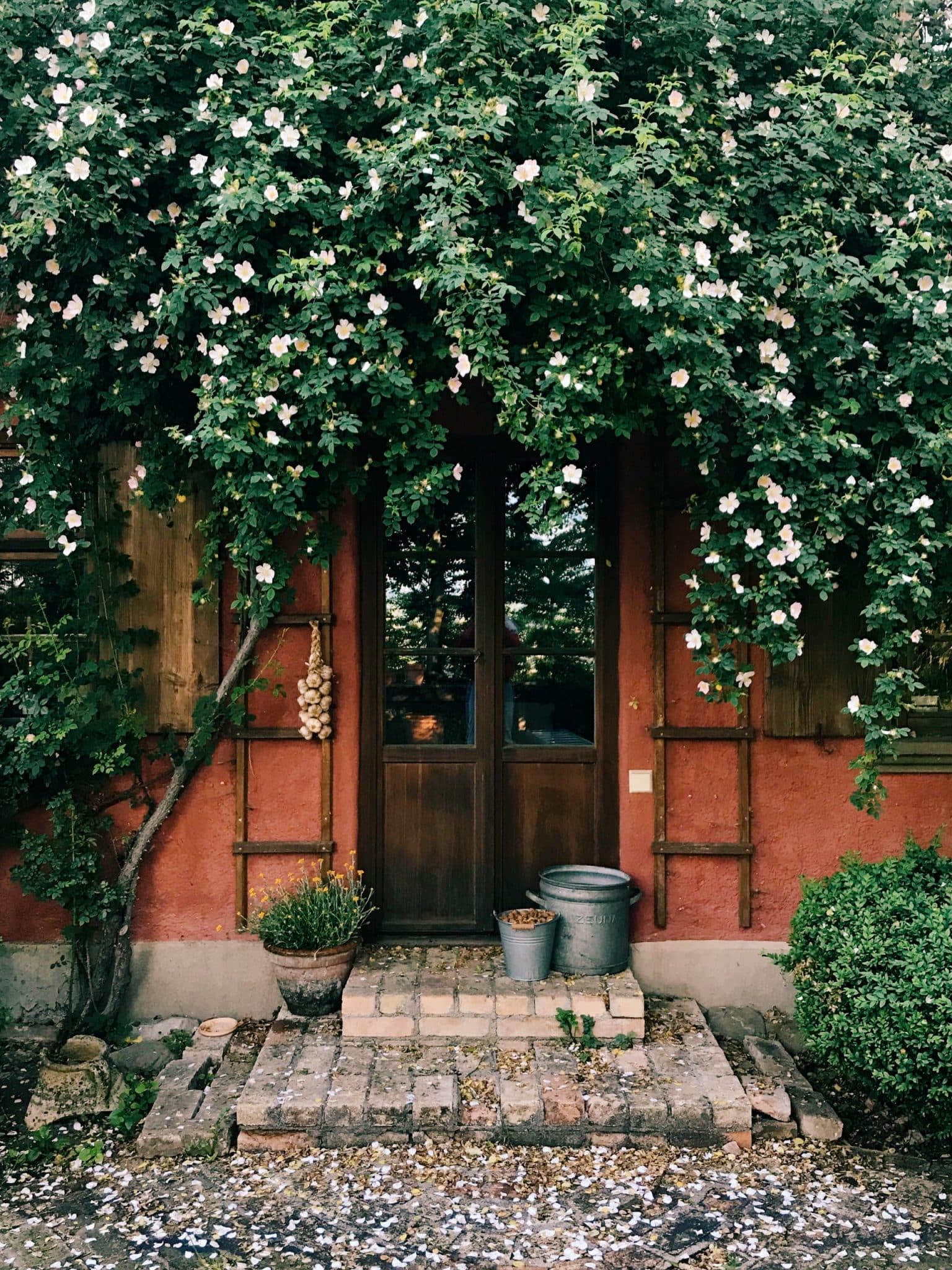 Das Rosso, Natur, Design-Ferienwohnungen, Allgäu, Bayern, Architektur, Holz, Design, Deutschland
