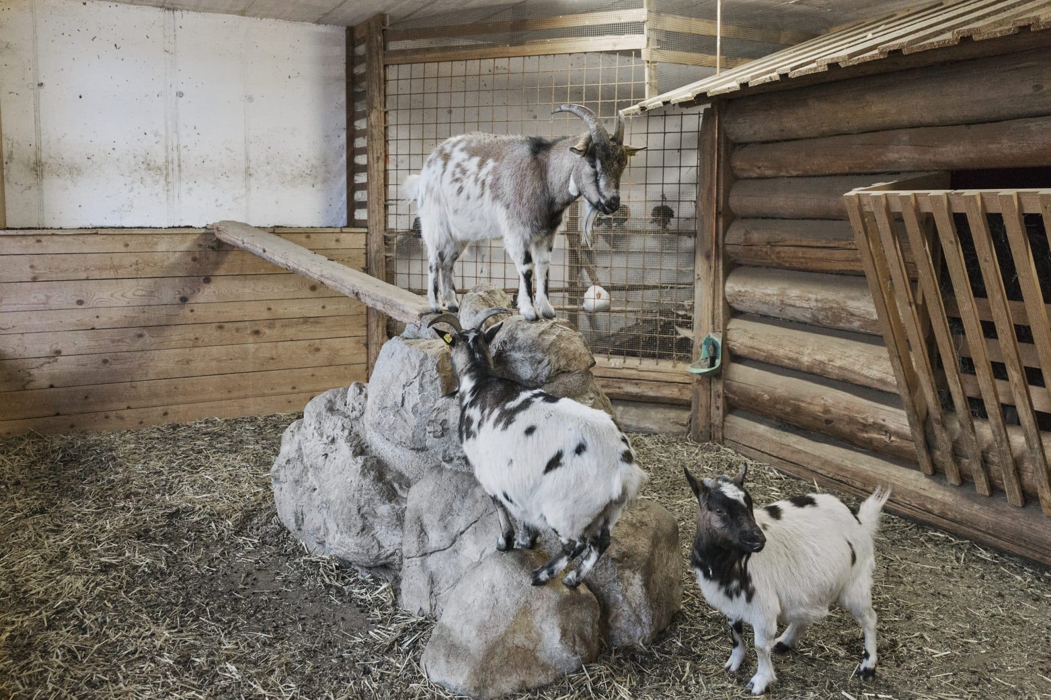 Austria, Ramsau, Ramsbergerhof
