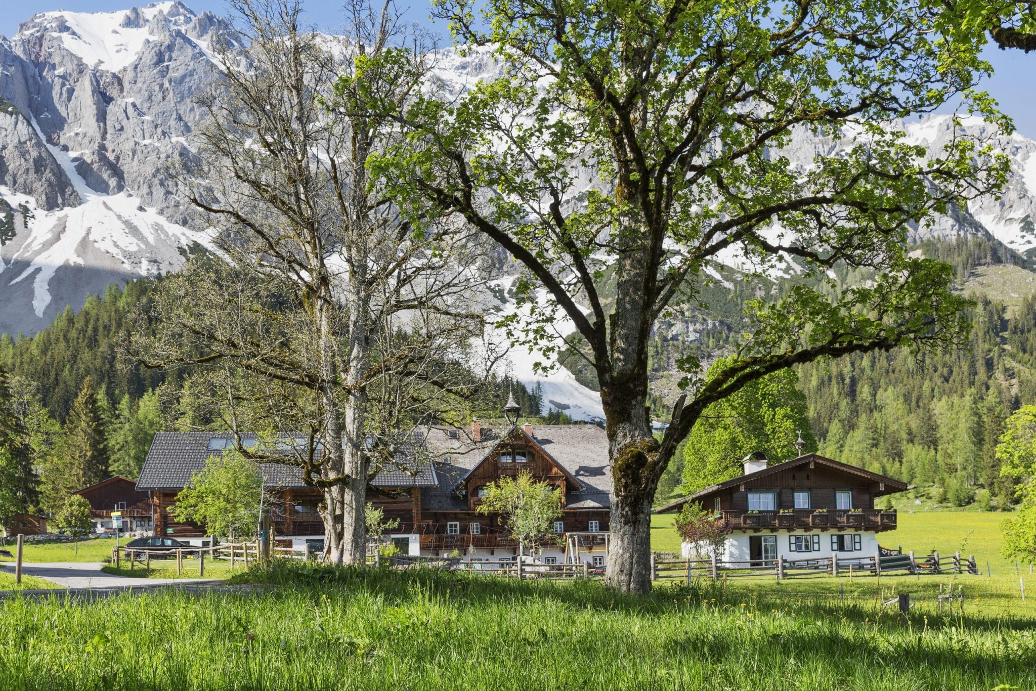 Europe, Austria, Ramsau, Ramsbergerhof