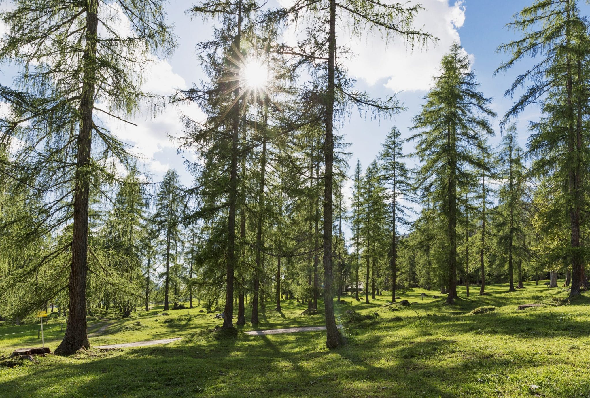 Europe, Austria, Ramsau, Ramsbergerhof