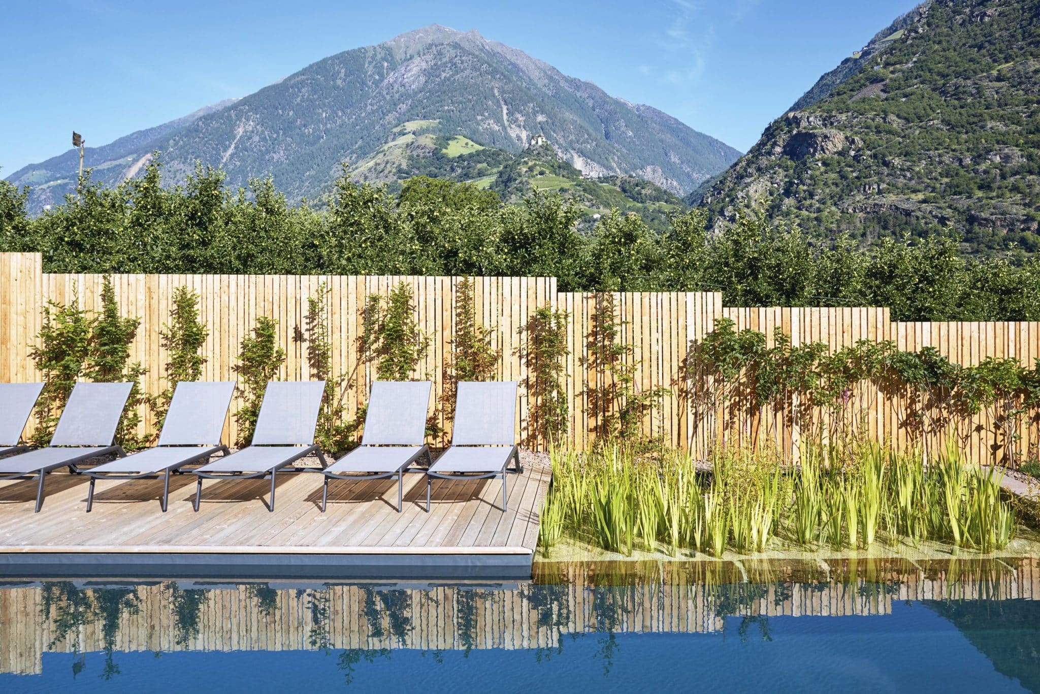 cirna-fotograf-rene-riller_3