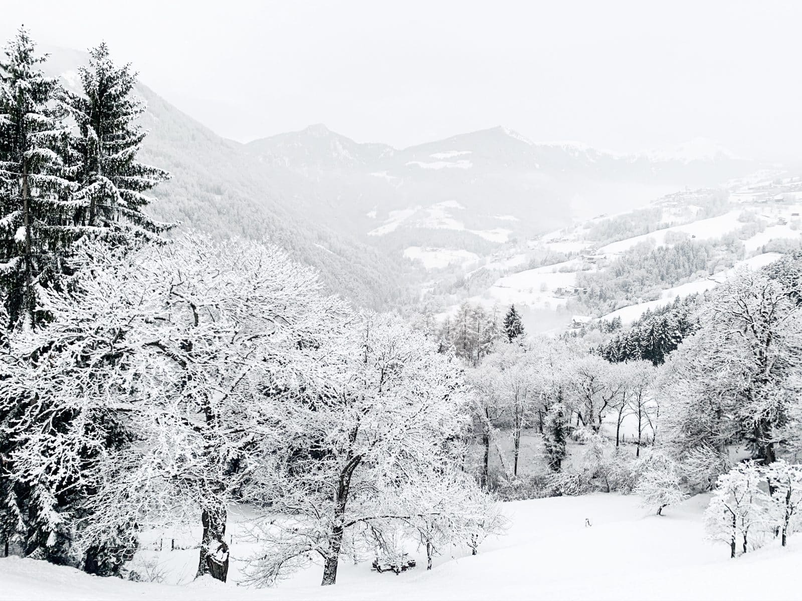 Winterlandschaft um das Gästehaus Freiform