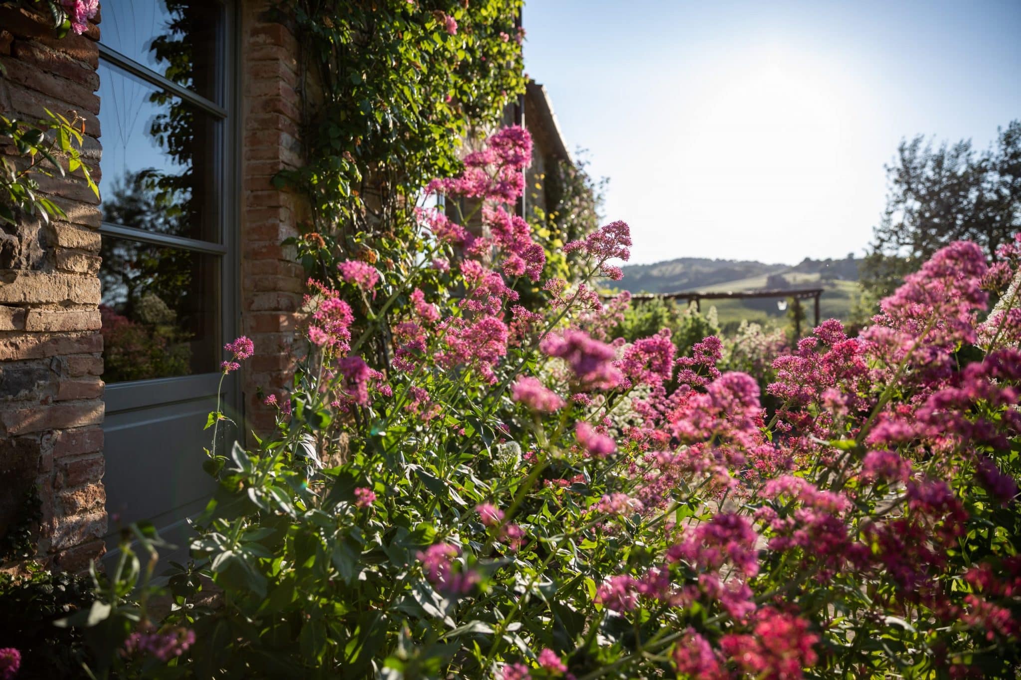 Follonico20190605_0045