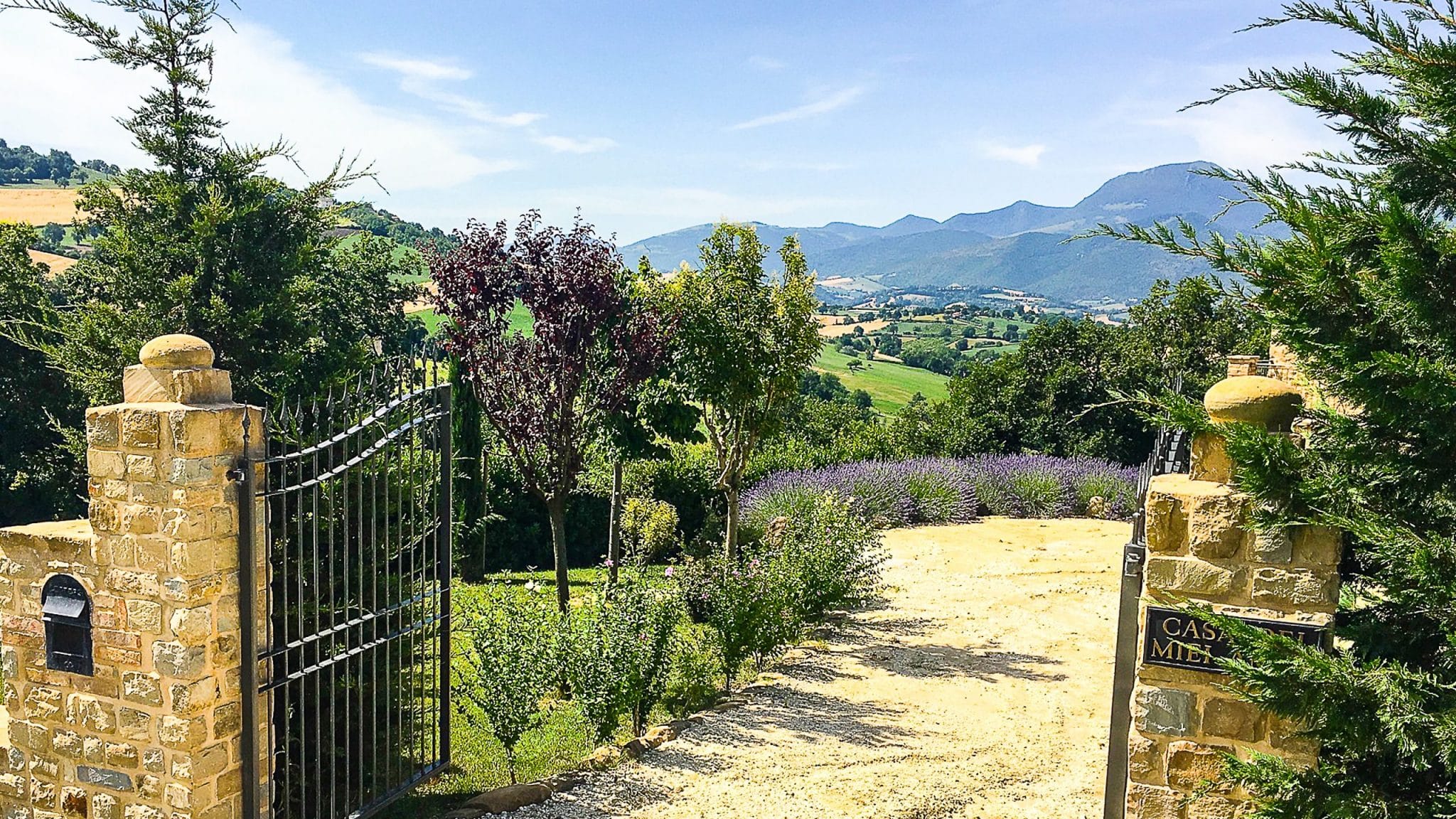 Amici-Eingangstor-16x9