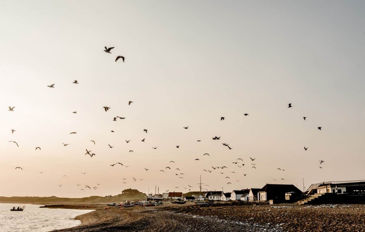 Recharge House Klitmoller, Dänemark, Sommerhaus, Design-Ferienhaus, Architektur, wooden cabin, Unterkundt am Meer, besondere Unterkunft