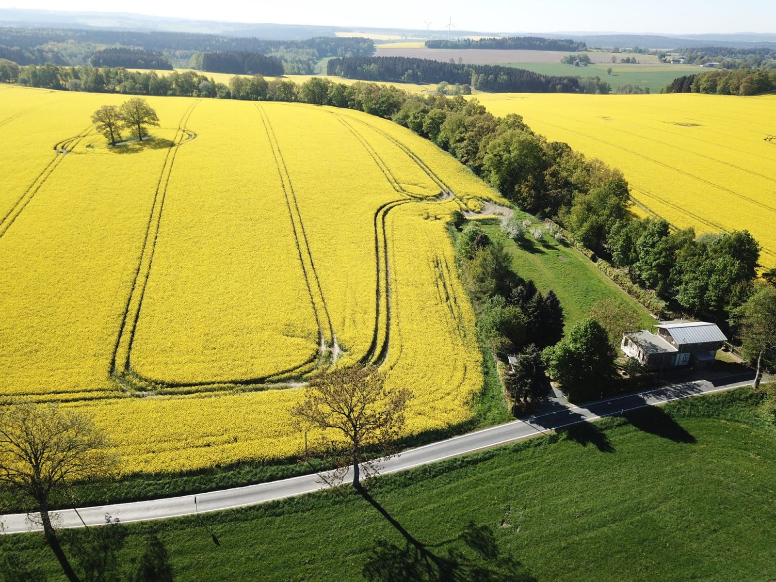 DJI_00752000pix72dpi