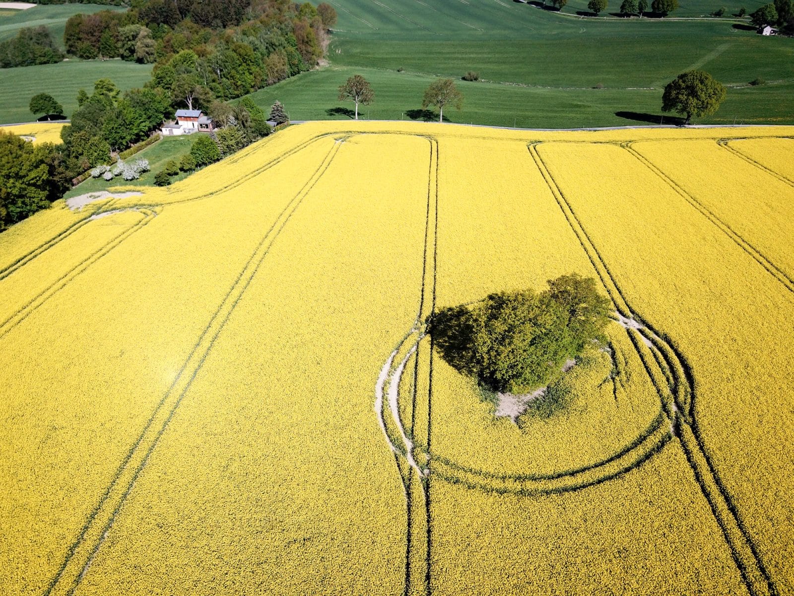 DJI_00812000pix72dpi