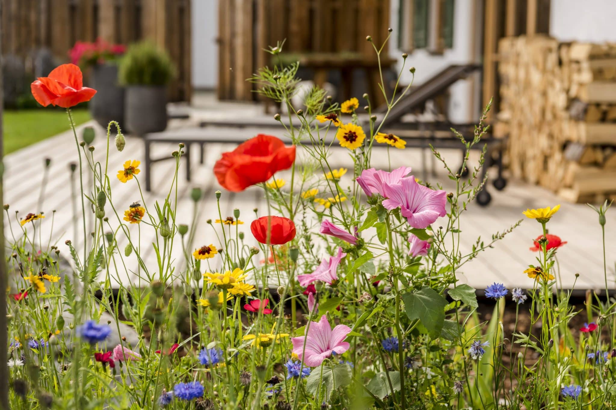 druck_hussnhof_0819-1673