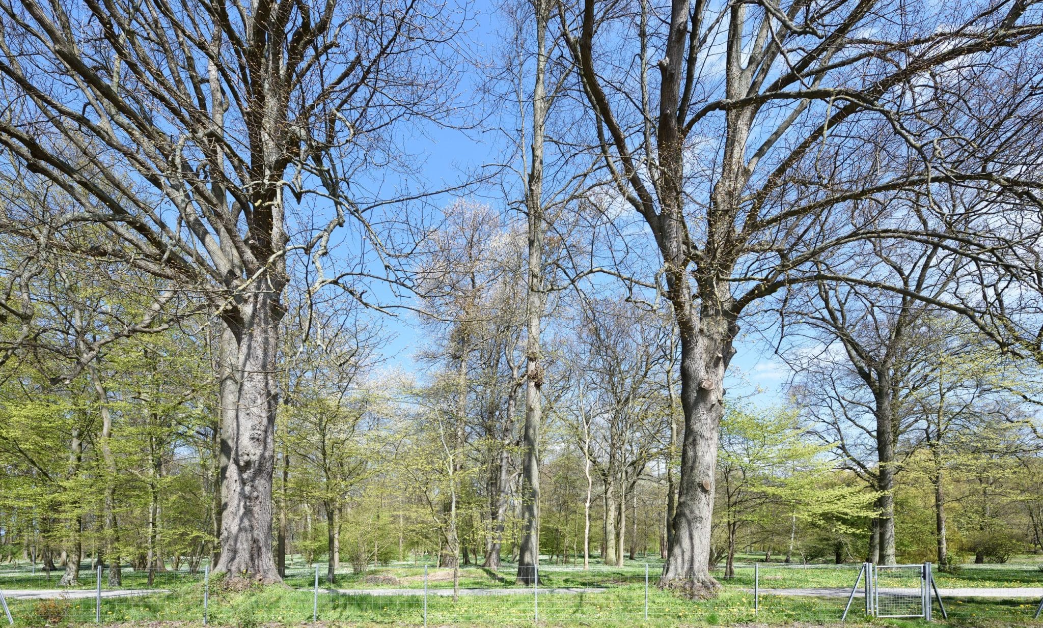 Ferienhaus Lillesol, Rügen, Design-Ferienhaus, Boutique-Hotel, Ferienwohnung, Architektur, Architektenhaus