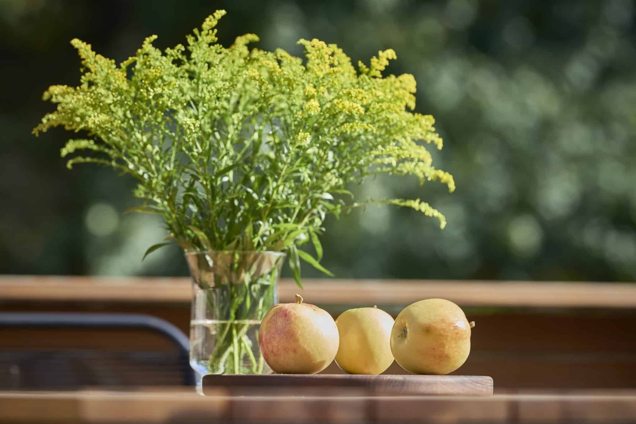 Villa-Hygge-HIDDENSEE-273-Foto-Burwitz-Pocha