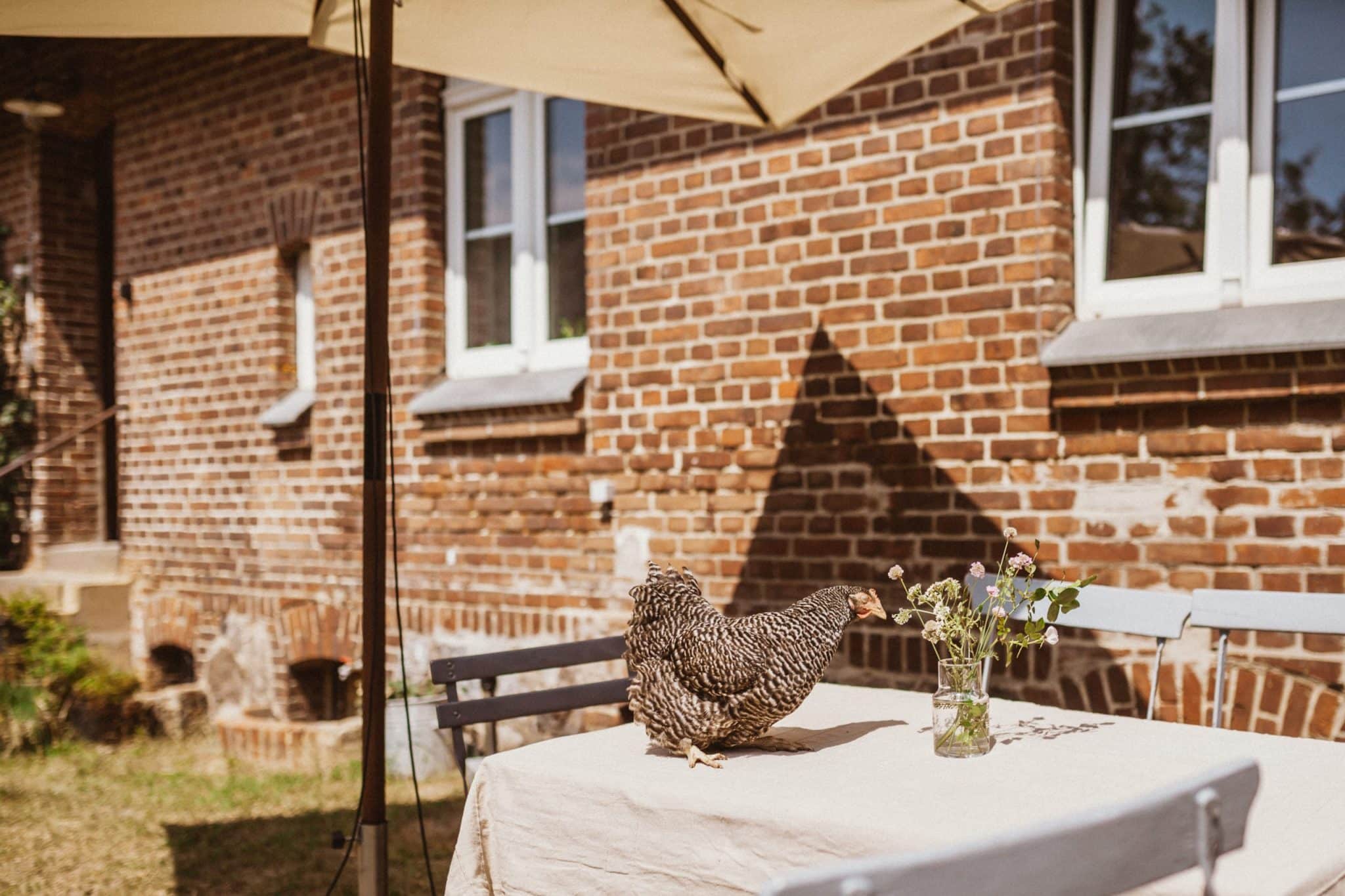 muckout-alte-schule-27