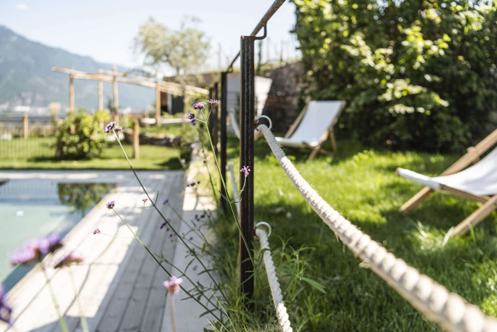 (C) Hannes Niederkofler_WEB-3069