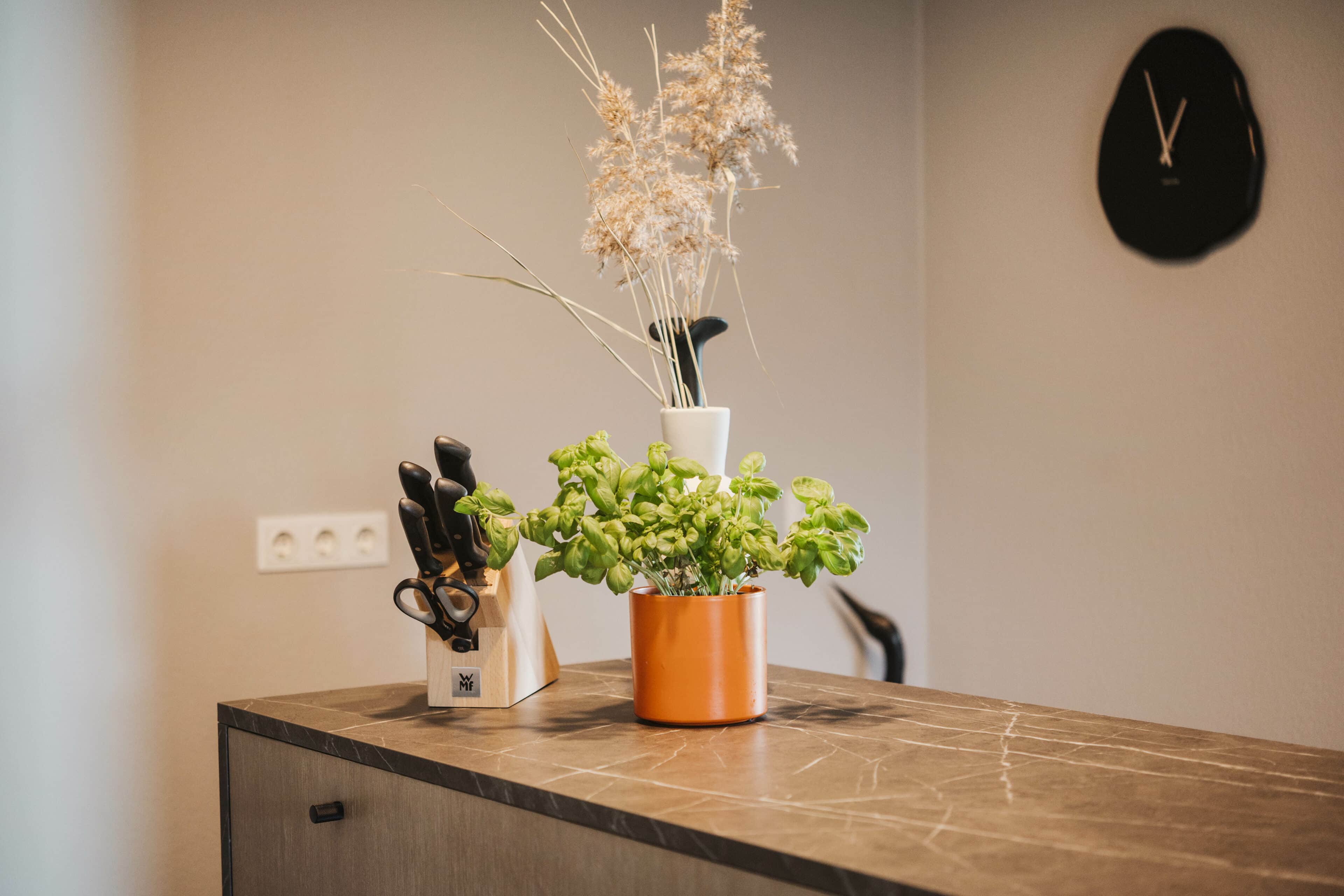 Basilikumtopf und Trockenblumen im Seehotel Gronau