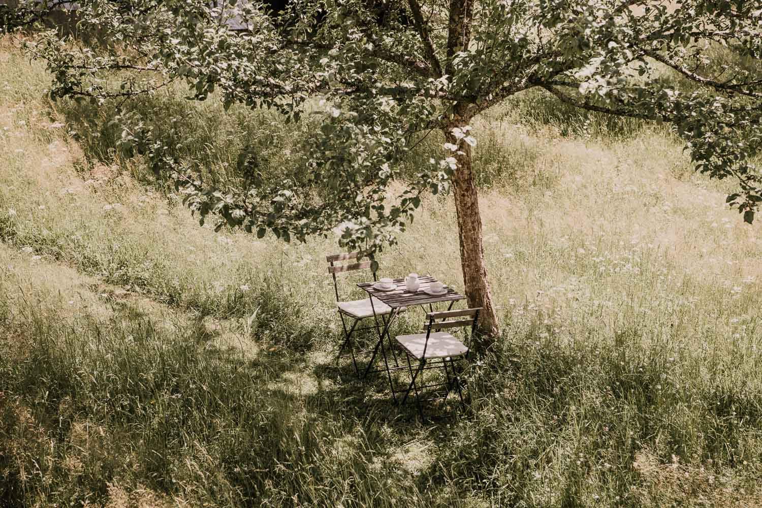 Essplatz unter Baum auf Wiese im Haidl Madl
