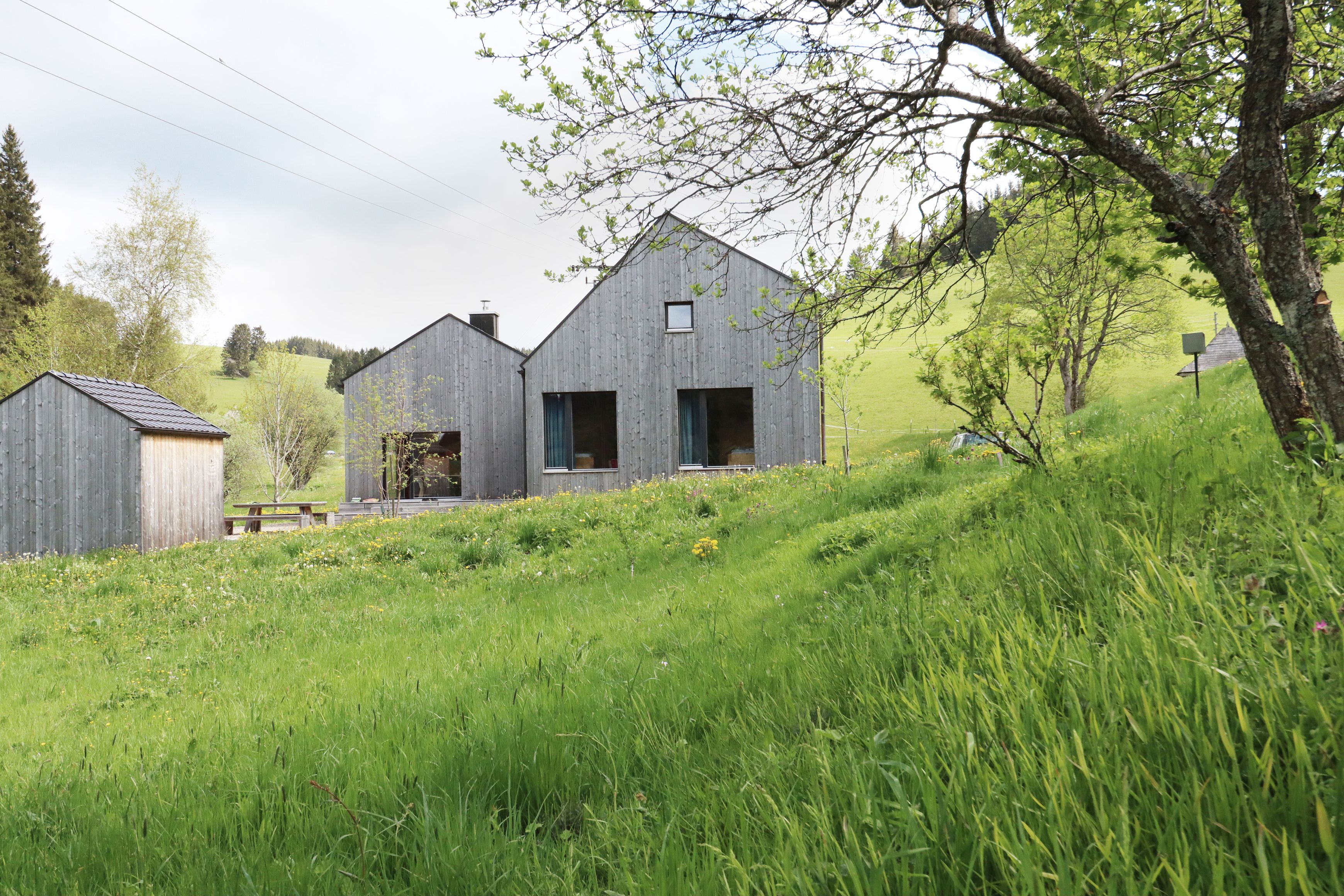 die Fassaden des Seilerhansenhofs von Weitem
