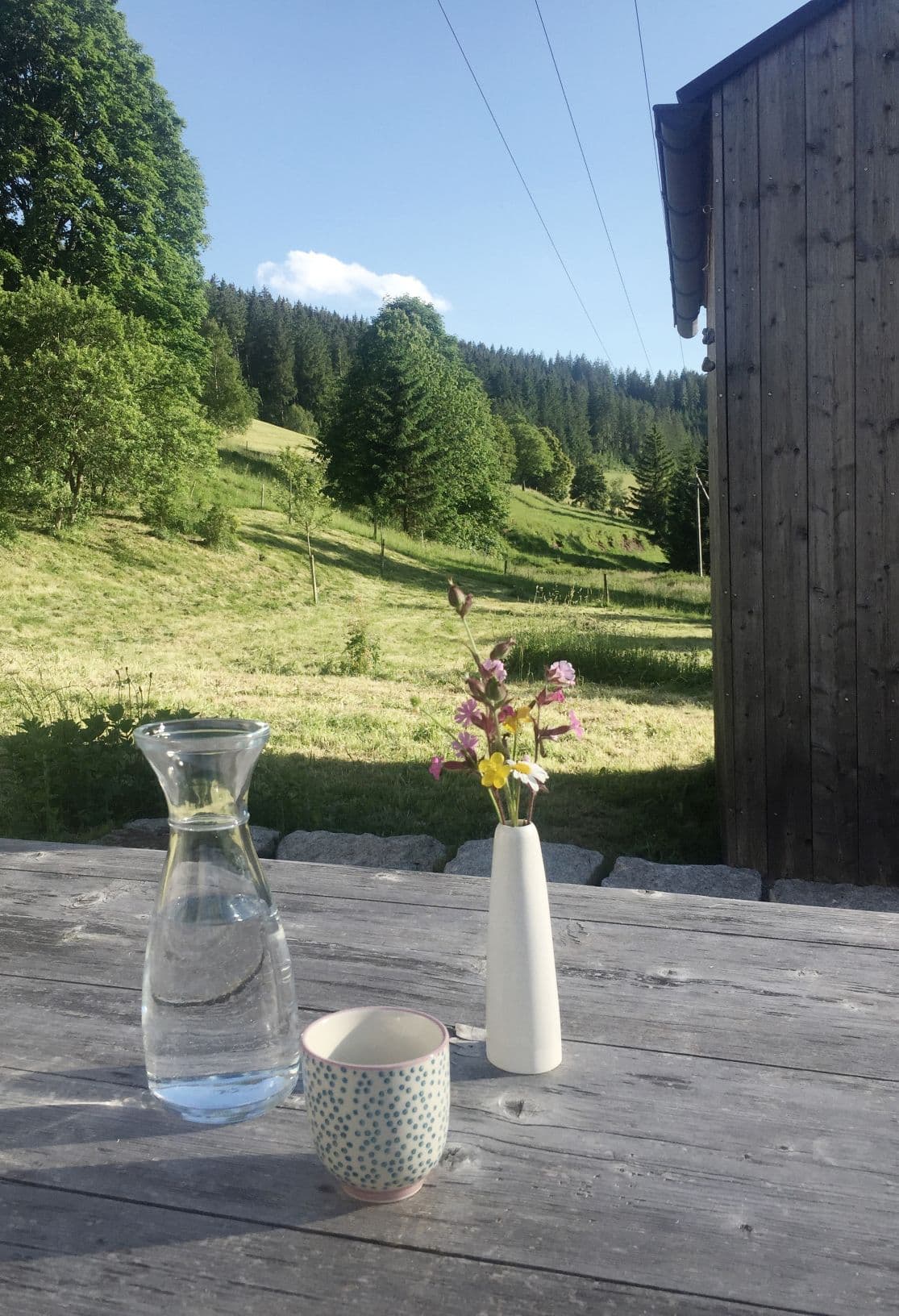 Terrassenblick ins Tal vom Seilerhansenhof