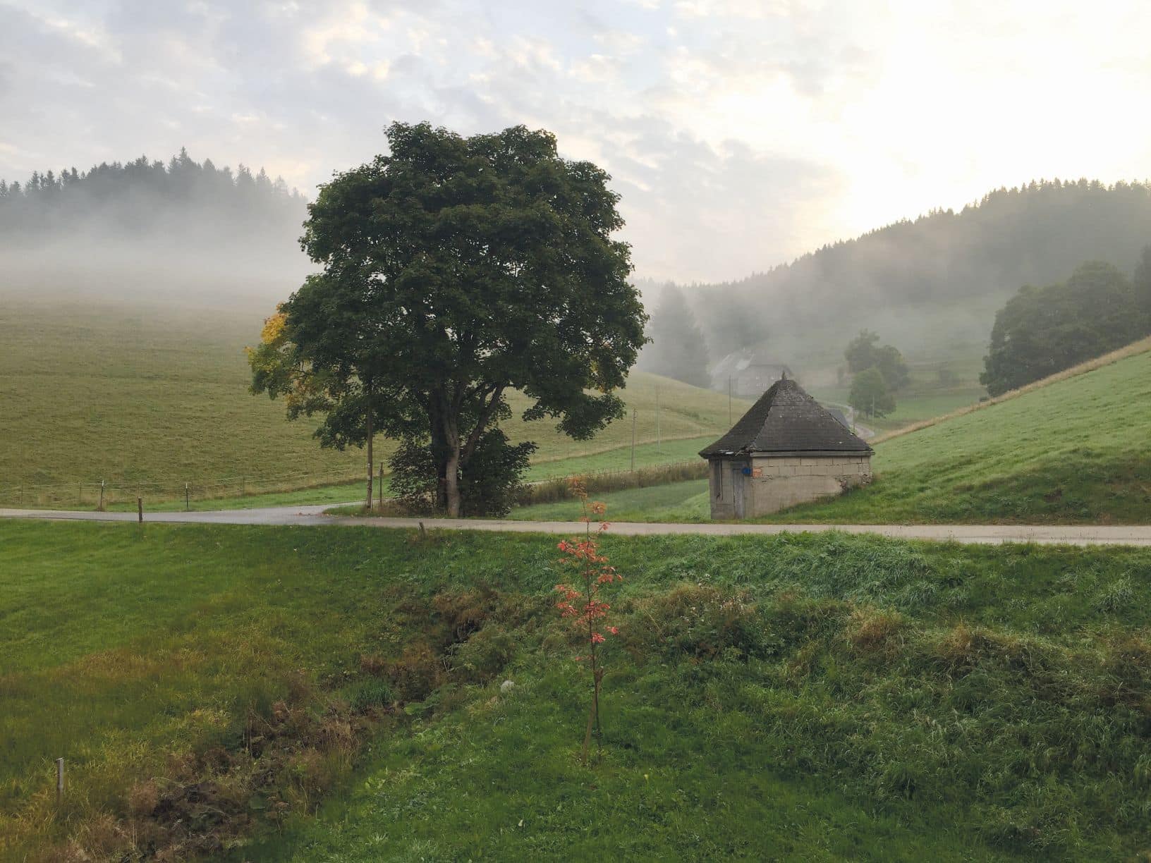 Ausblick von der Garderobe im Seilerhansenhof
