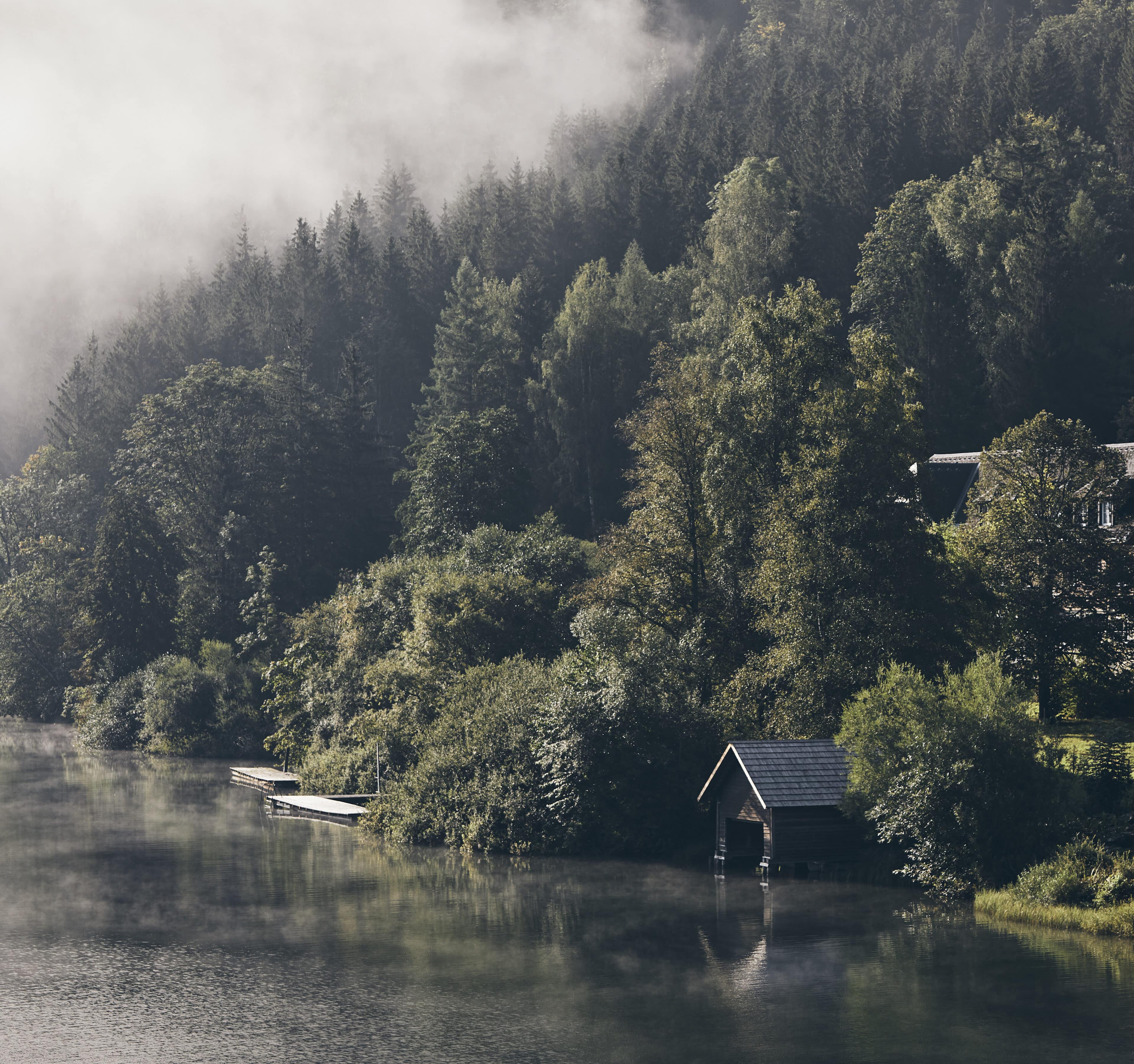 See und Waldufer beim Refugium Lunz