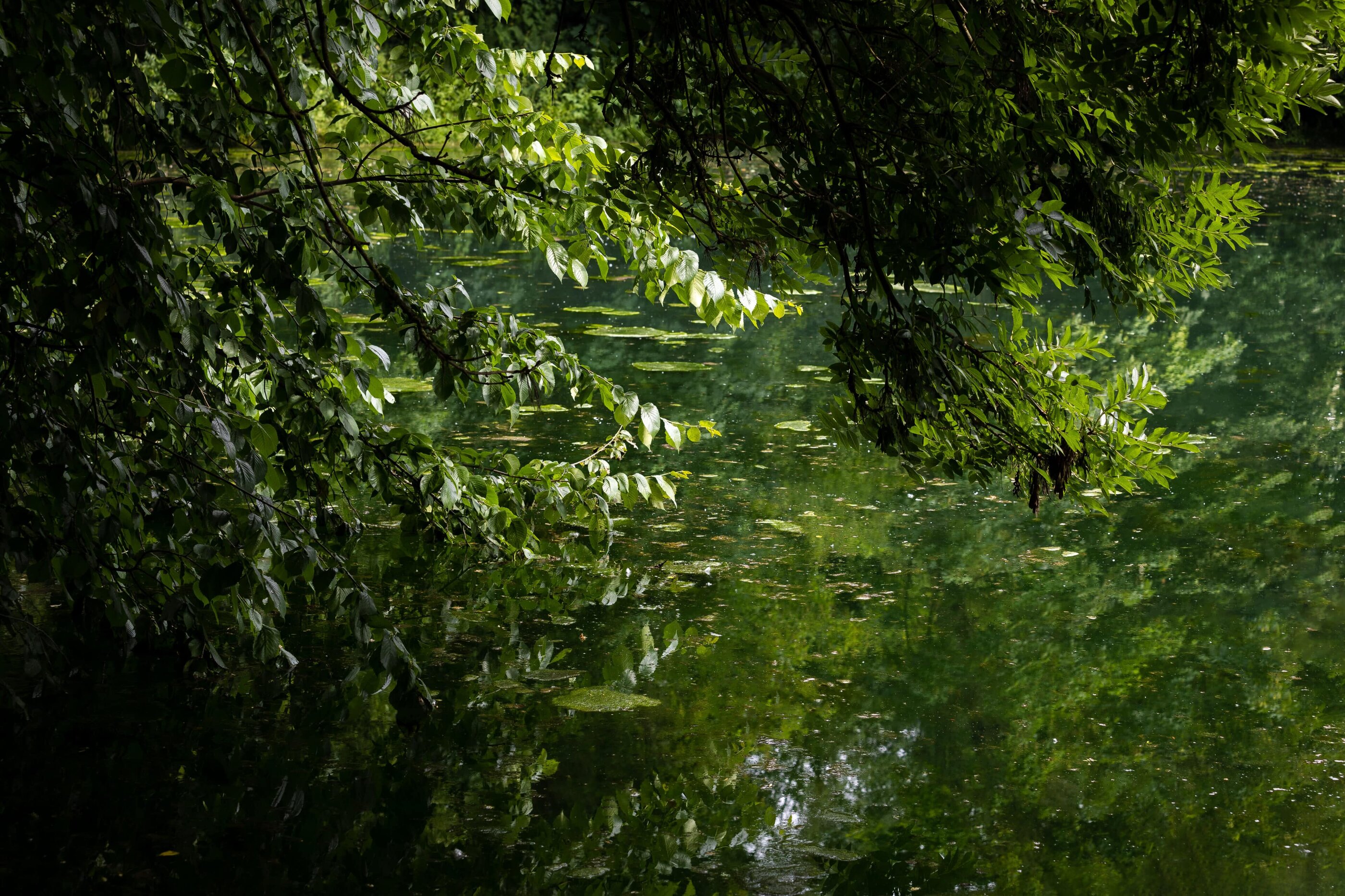 Detail See am Moulin Moulin