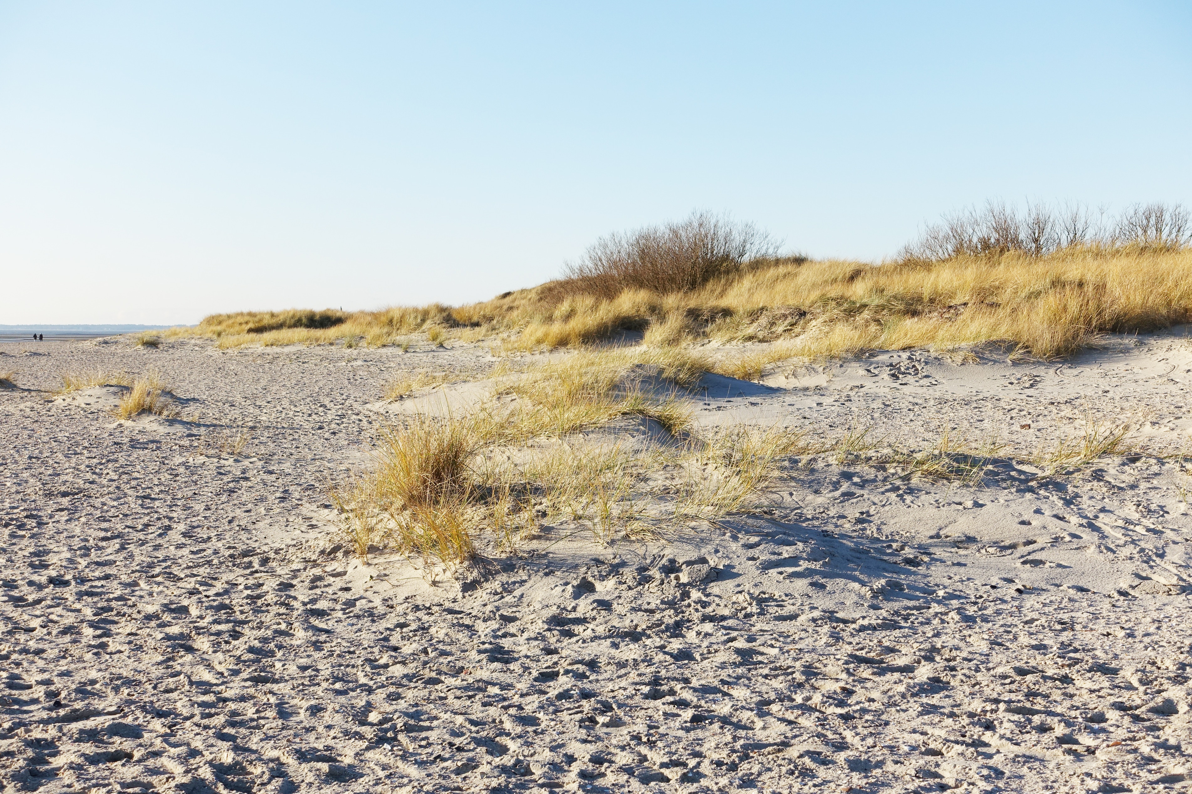 Dünen bei der Bi de Acht an der Nordseestrand