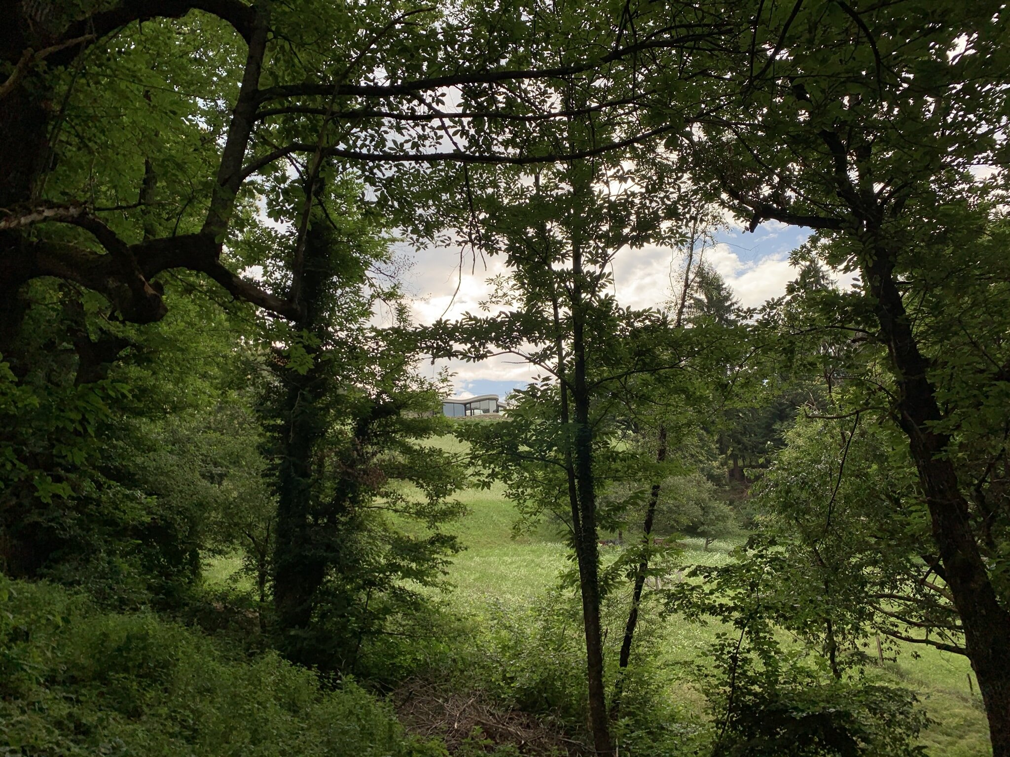 durch Bäume und Büsche schauend aufs Gästehaus Freiform guckend