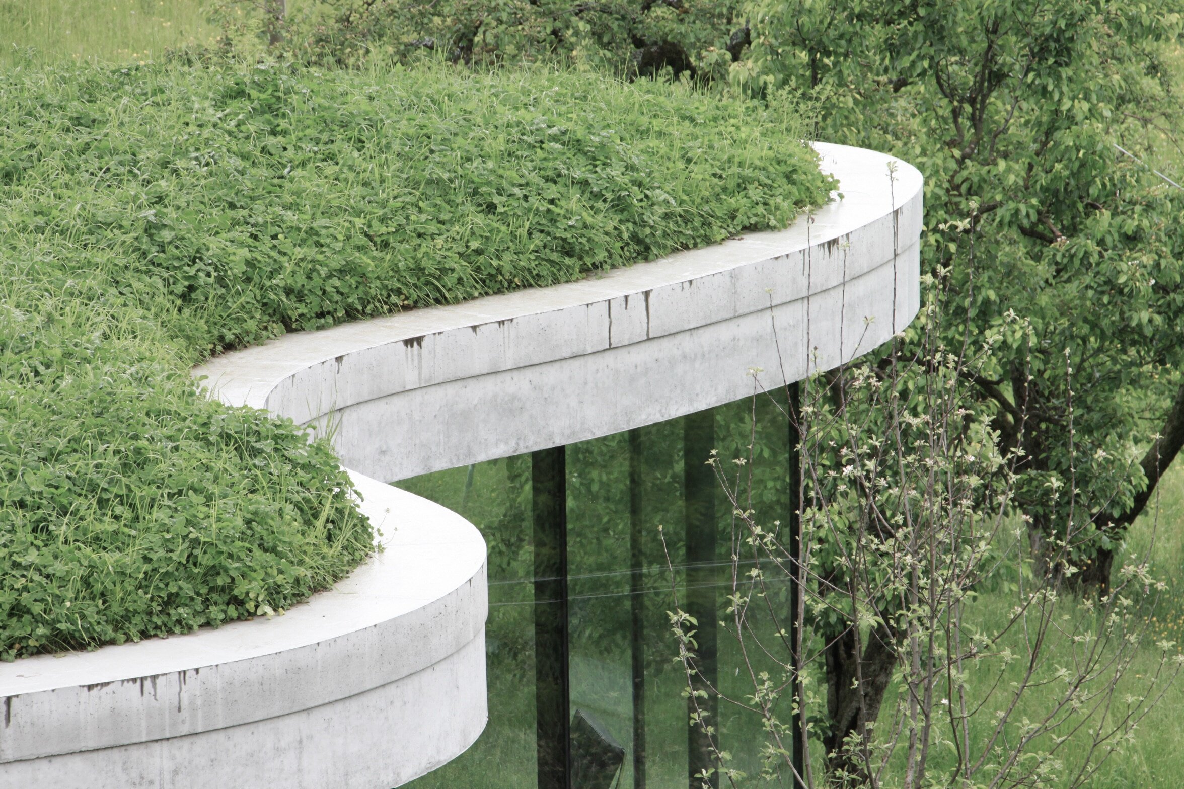 Geschwungenes Dach mit Bepflanzung des Gästehaus Freiform