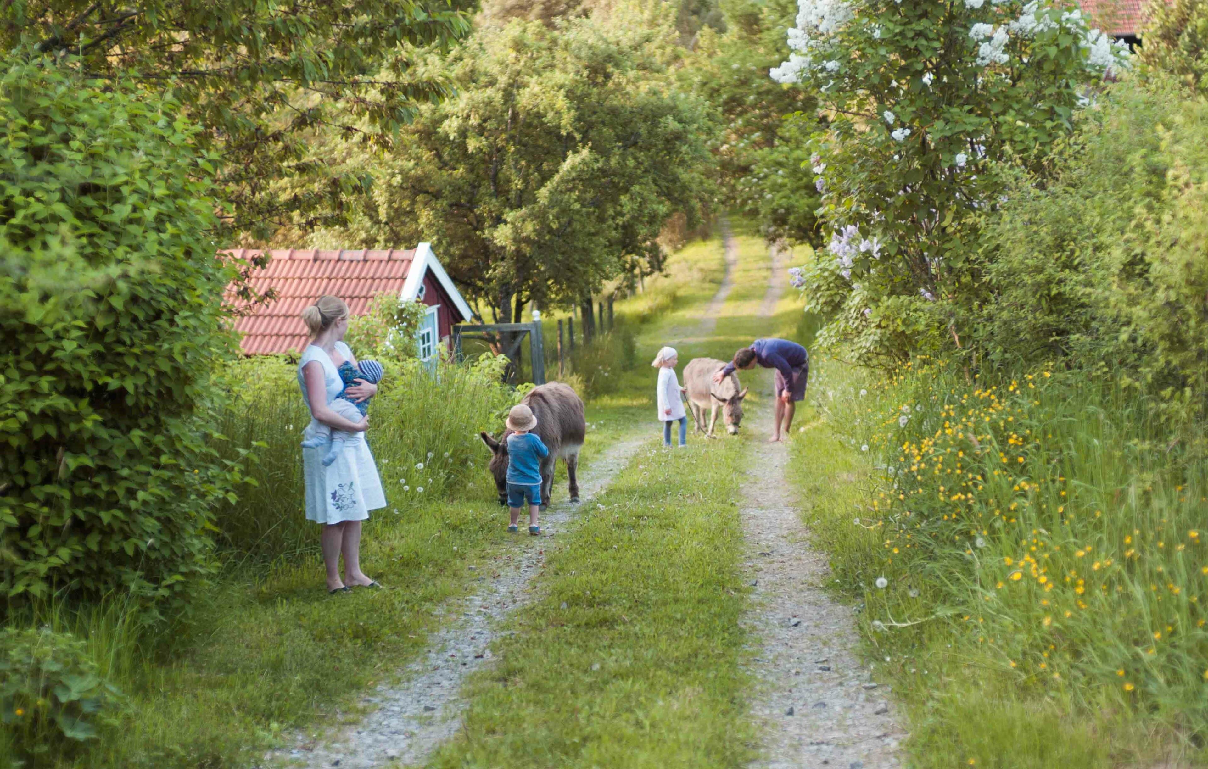 Familie auf dem Spaziergang trifft Esel beim Hof Grillenöd