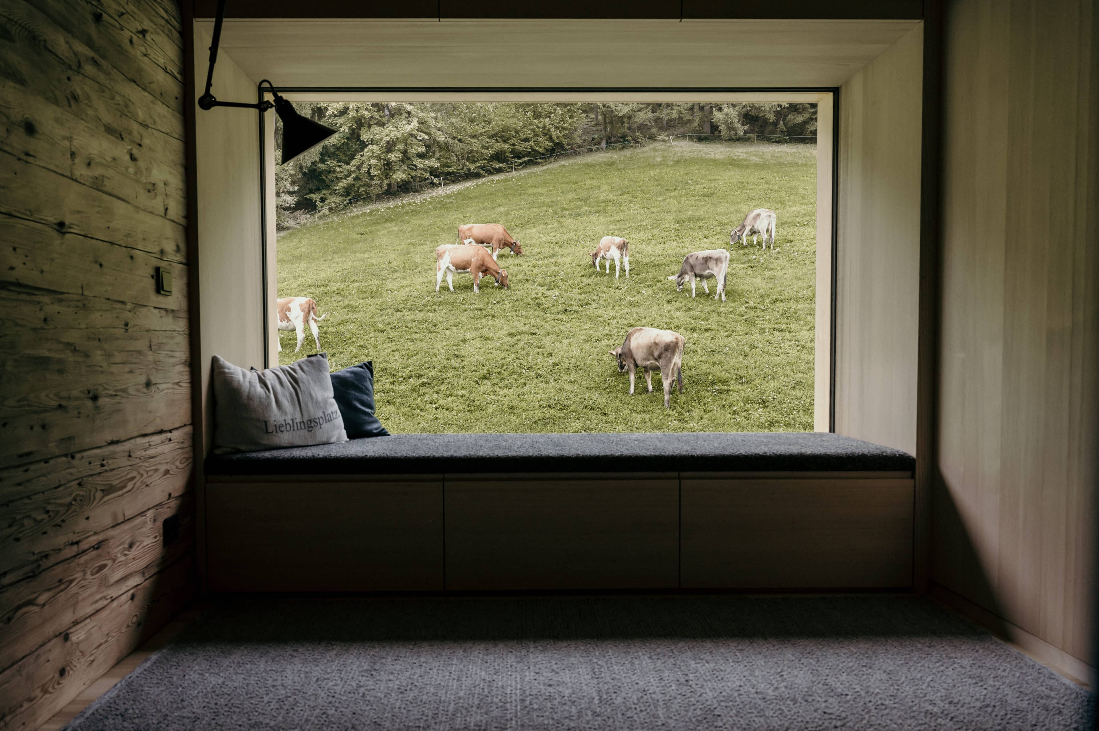 Ausblick auf eine Kuhwiese im Halwina Hideaway
