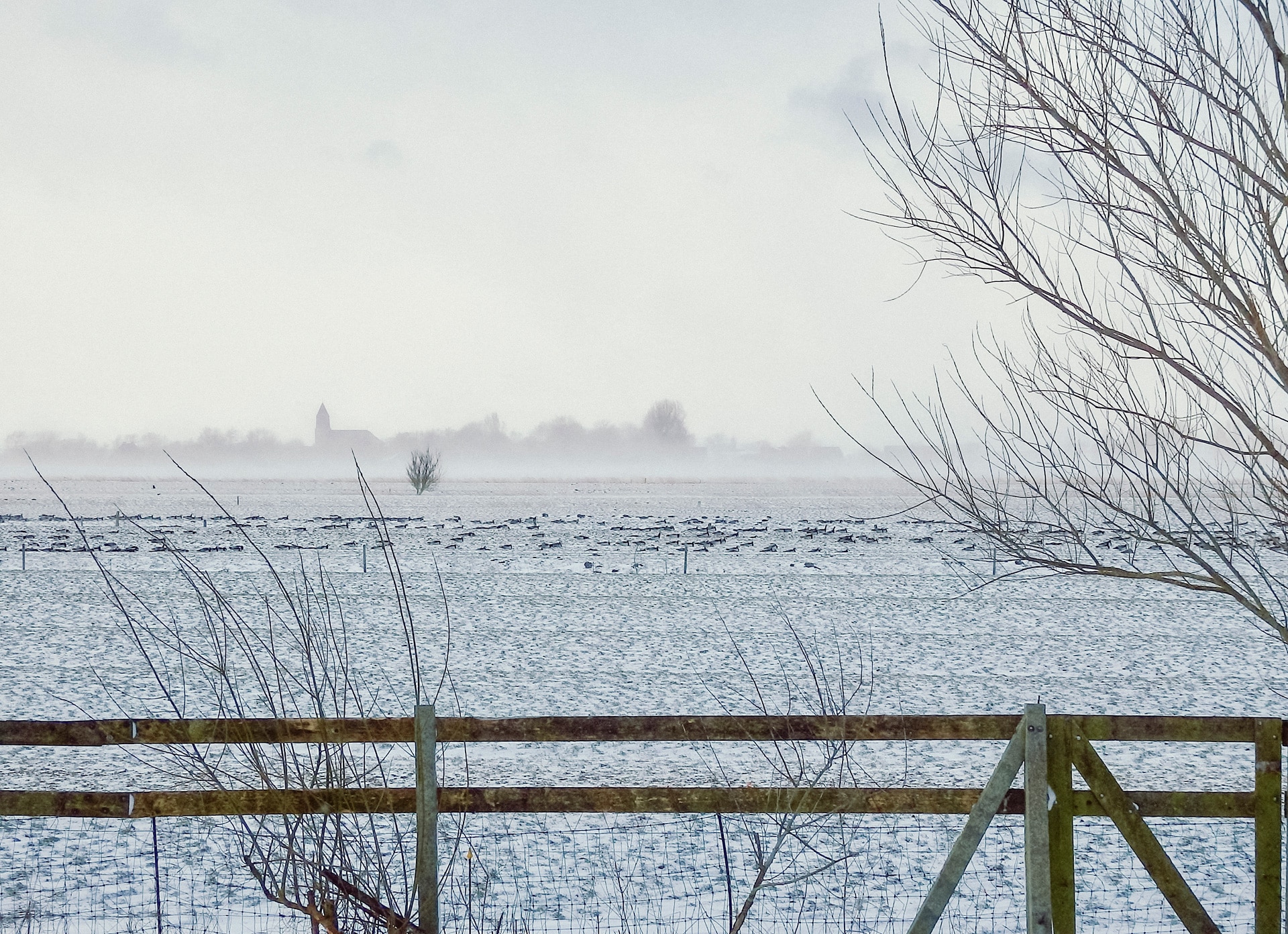 Huus Uelvesbüll, Ferienhaus an der Nordsee, Eiderstedt