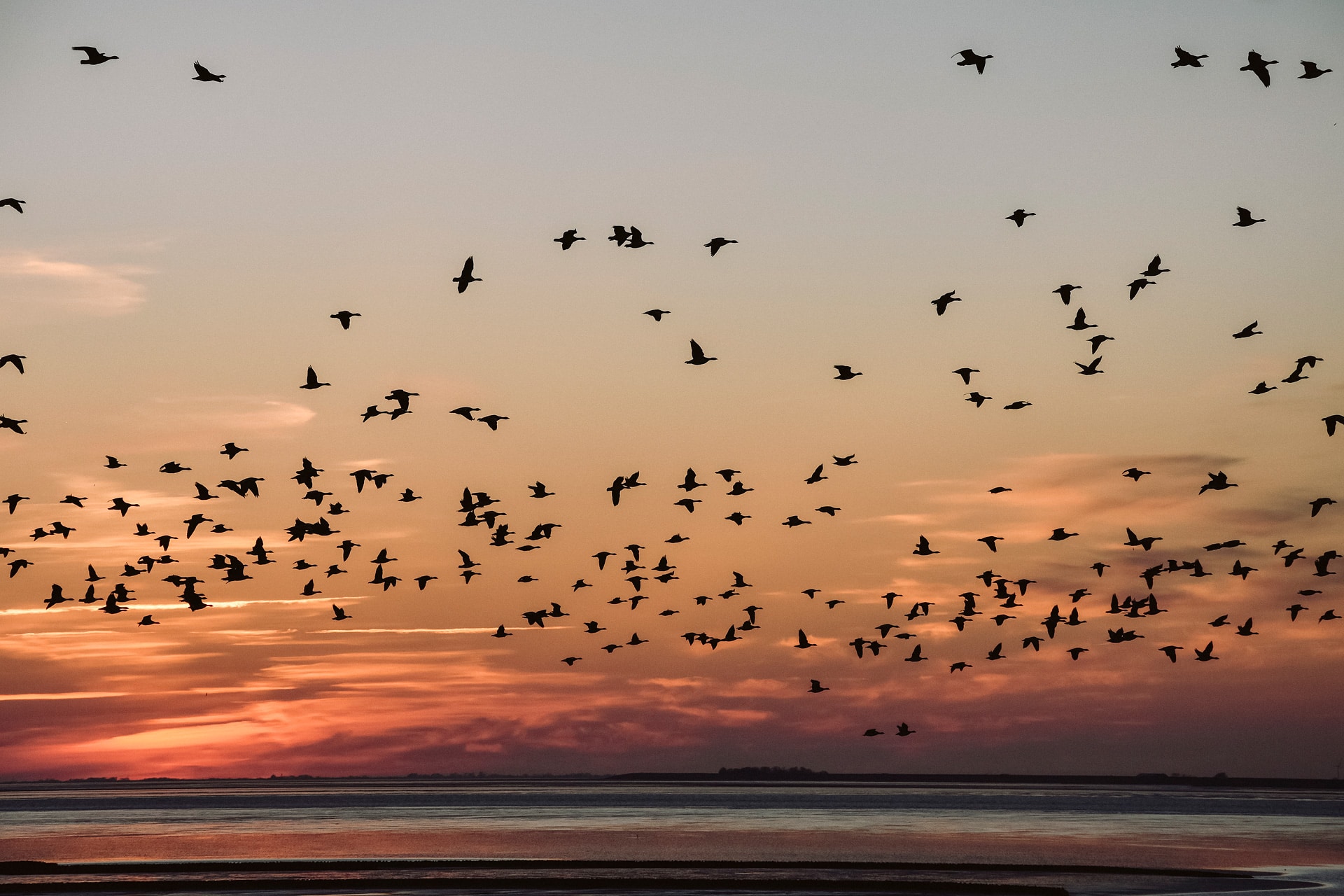 Huus Uelvesbüll, Ferienhaus an der Nordsee, Eiderstedt