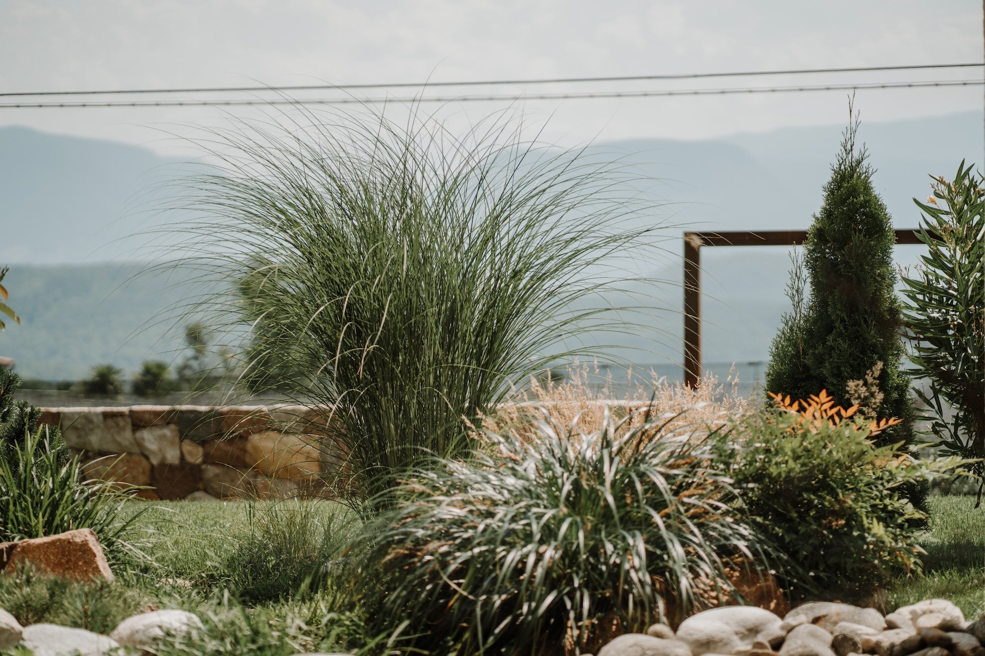 Gräser im Garten des Refugium Rochus