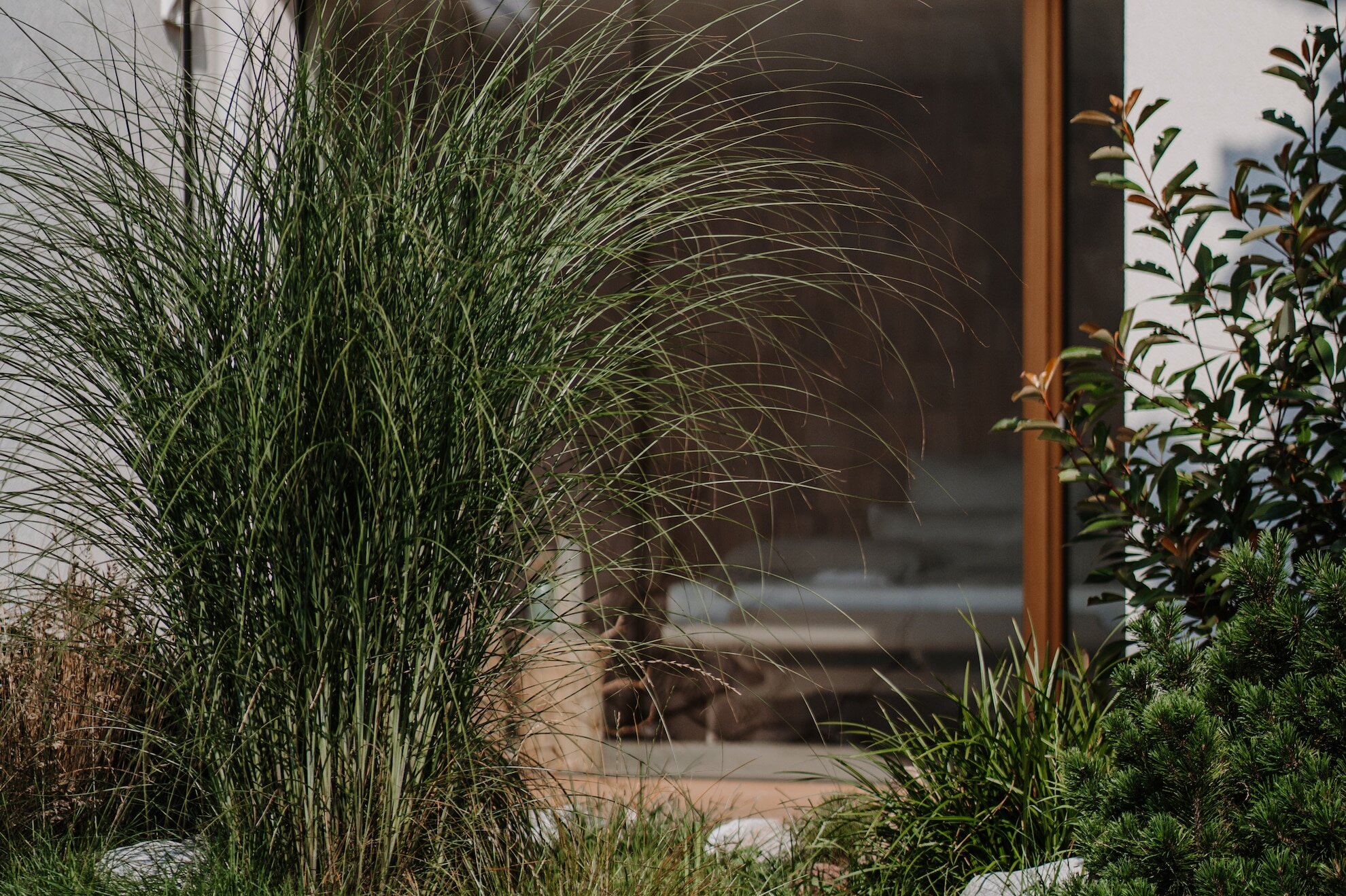 Gräser im Garten des Refugium Rochus