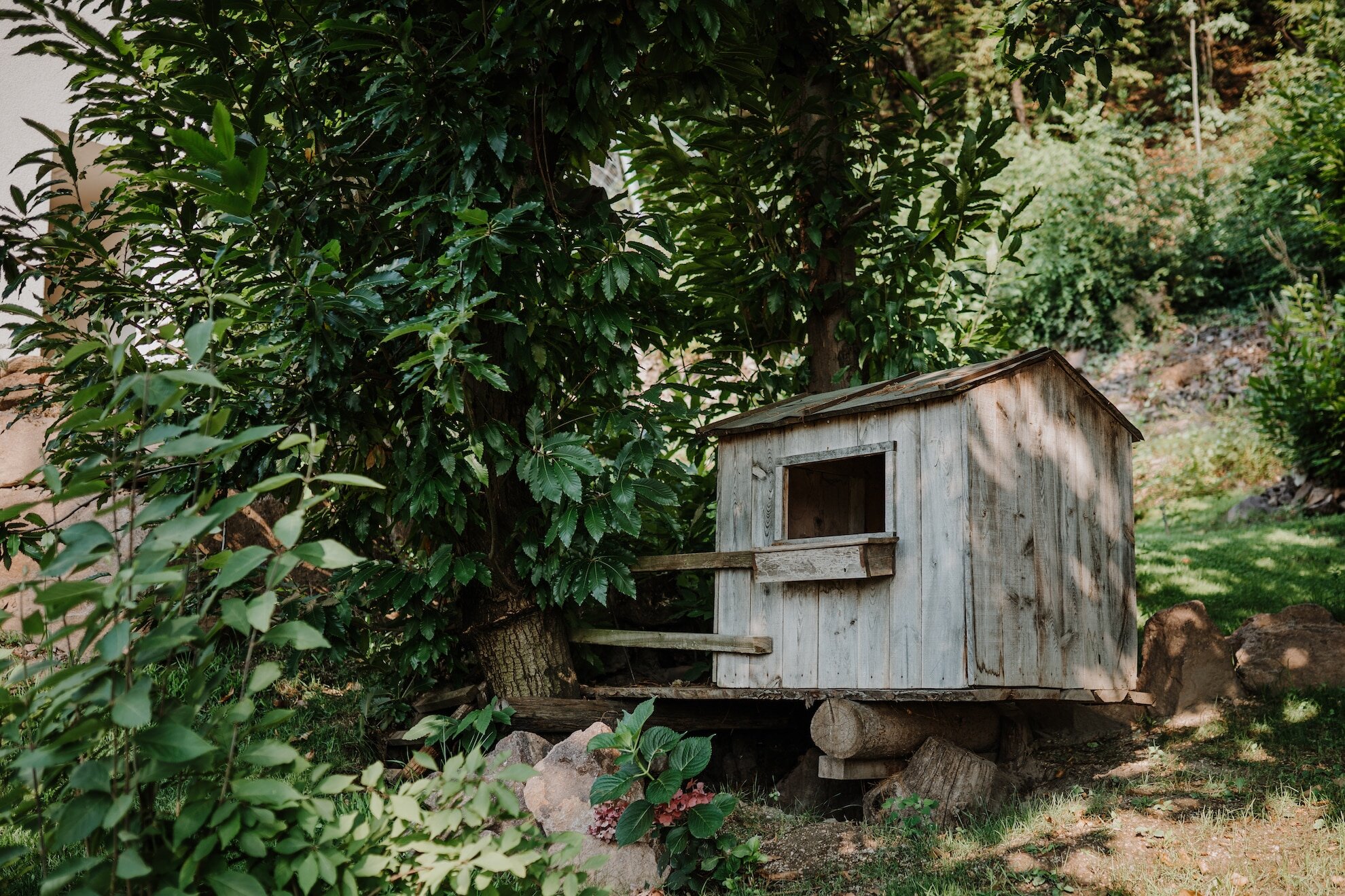 Vogelhäuschen im Refugium Rochus