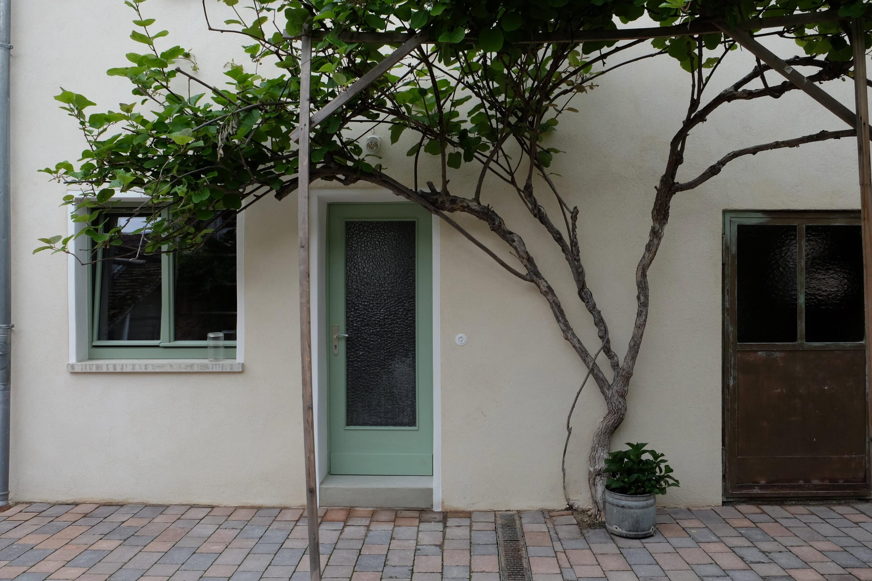 Haustür und Baum im Schockelgaul