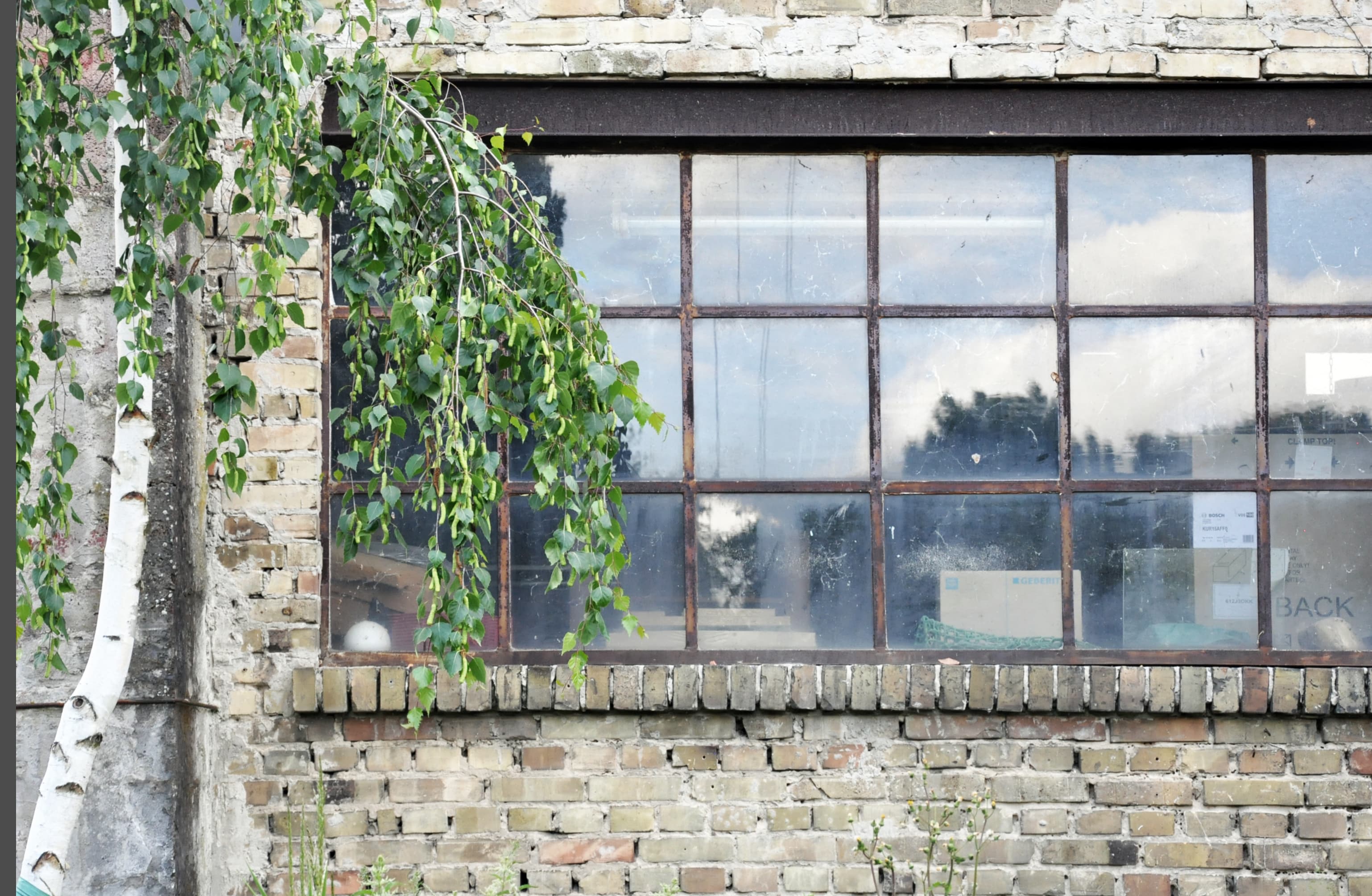 Fenster im Garten des Schockelgaul