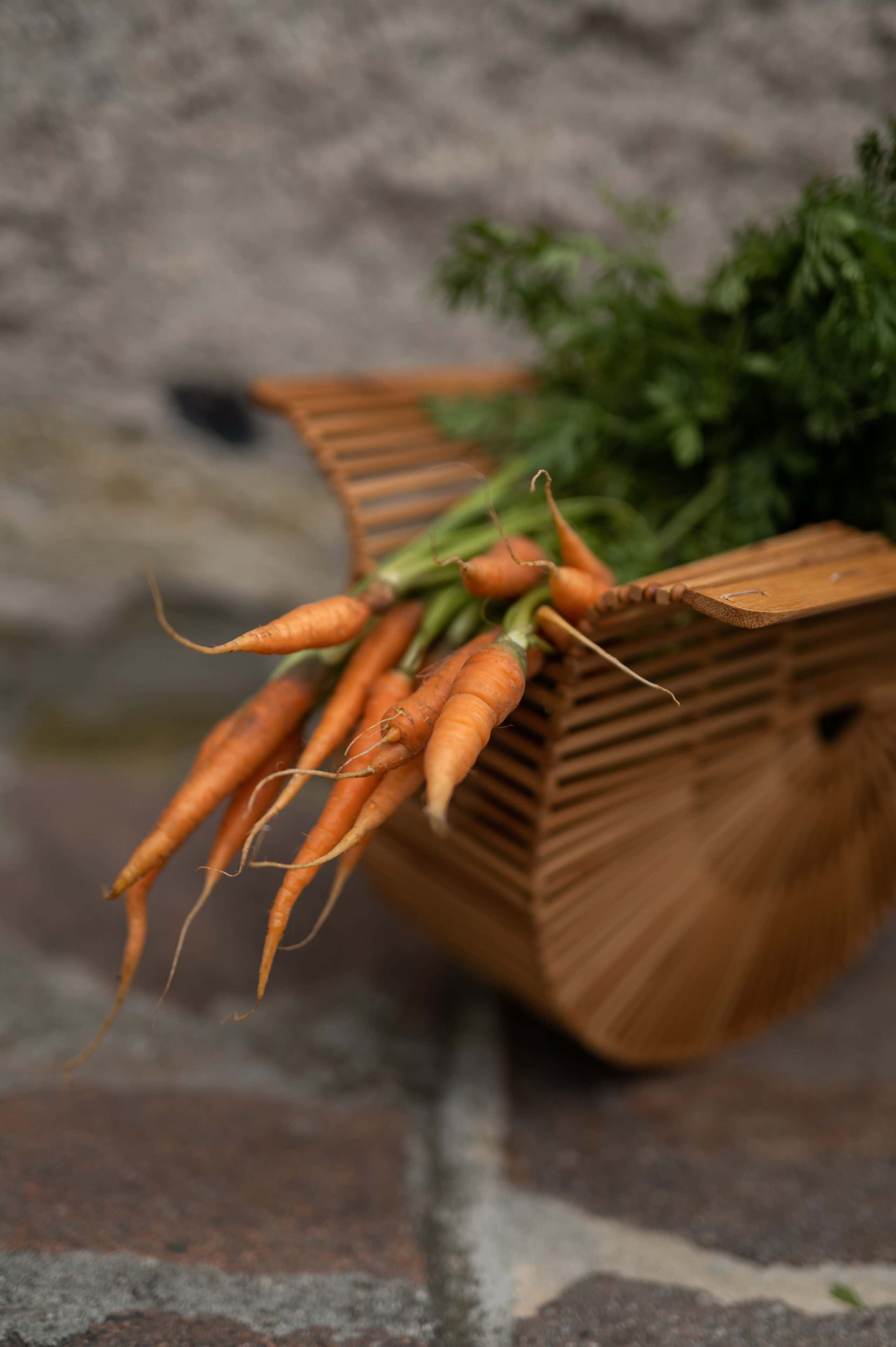Detail Food in der Pension Leuchtenburg